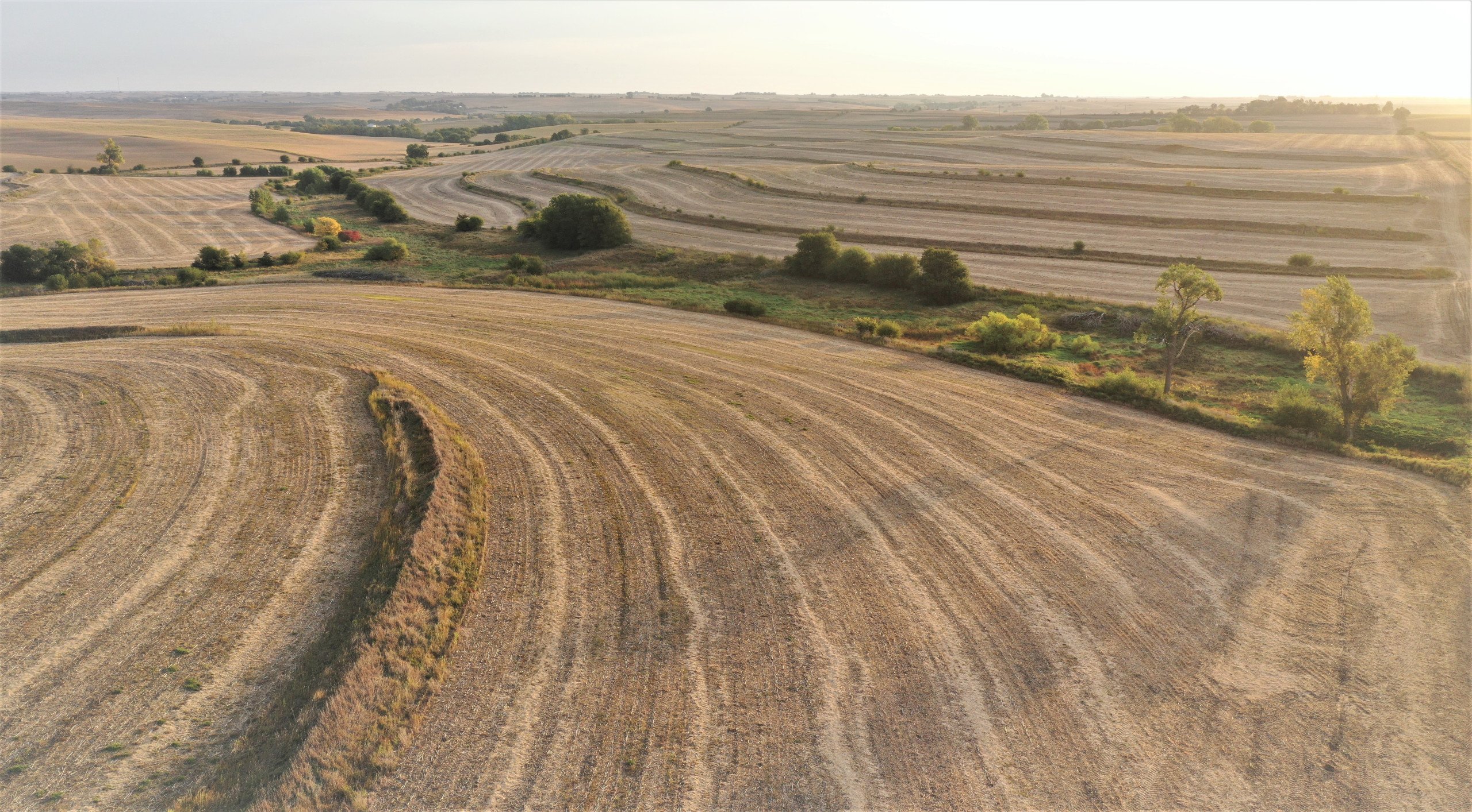 land-burt-county-nebraska-315-acres-listing-number-16273-SW Corner looking East-15.jpg