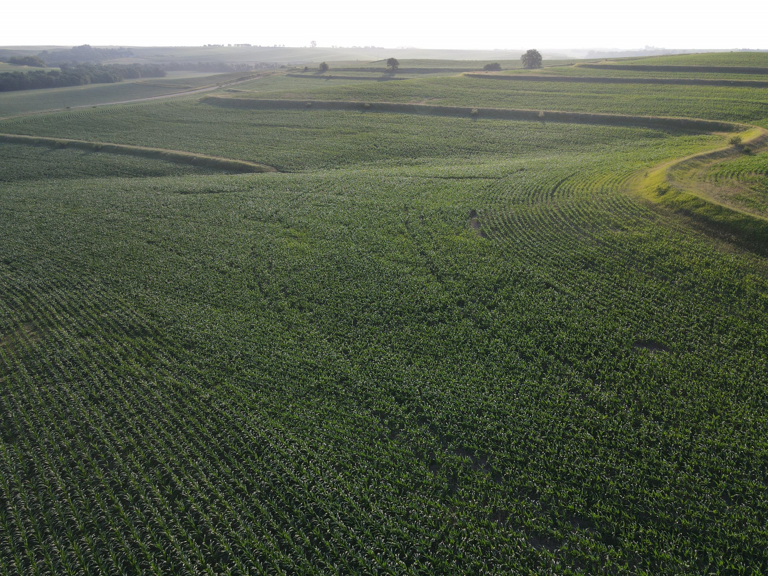 land-burt-county-nebraska-160-acres-listing-number-16274-Burt 160 - looking northeast 2-5.jpg