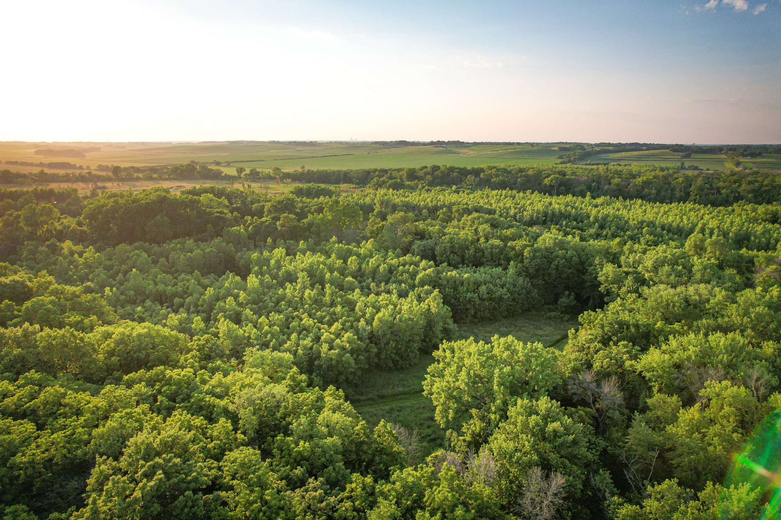 land-warren-county-iowa-25-acres-listing-number-16287-DJI_0854-0.jpg