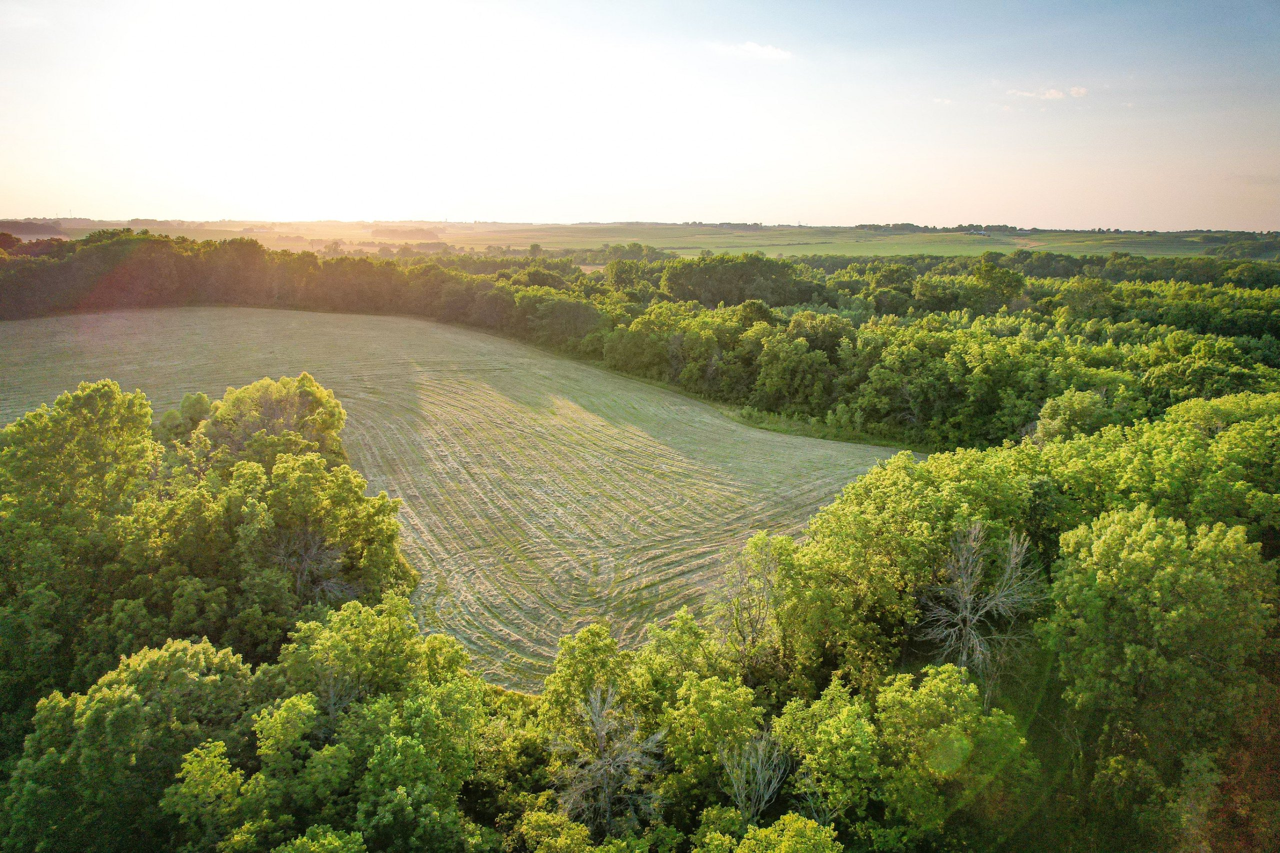 land-warren-county-iowa-25-acres-listing-number-16287-DJI_0860-3.jpg