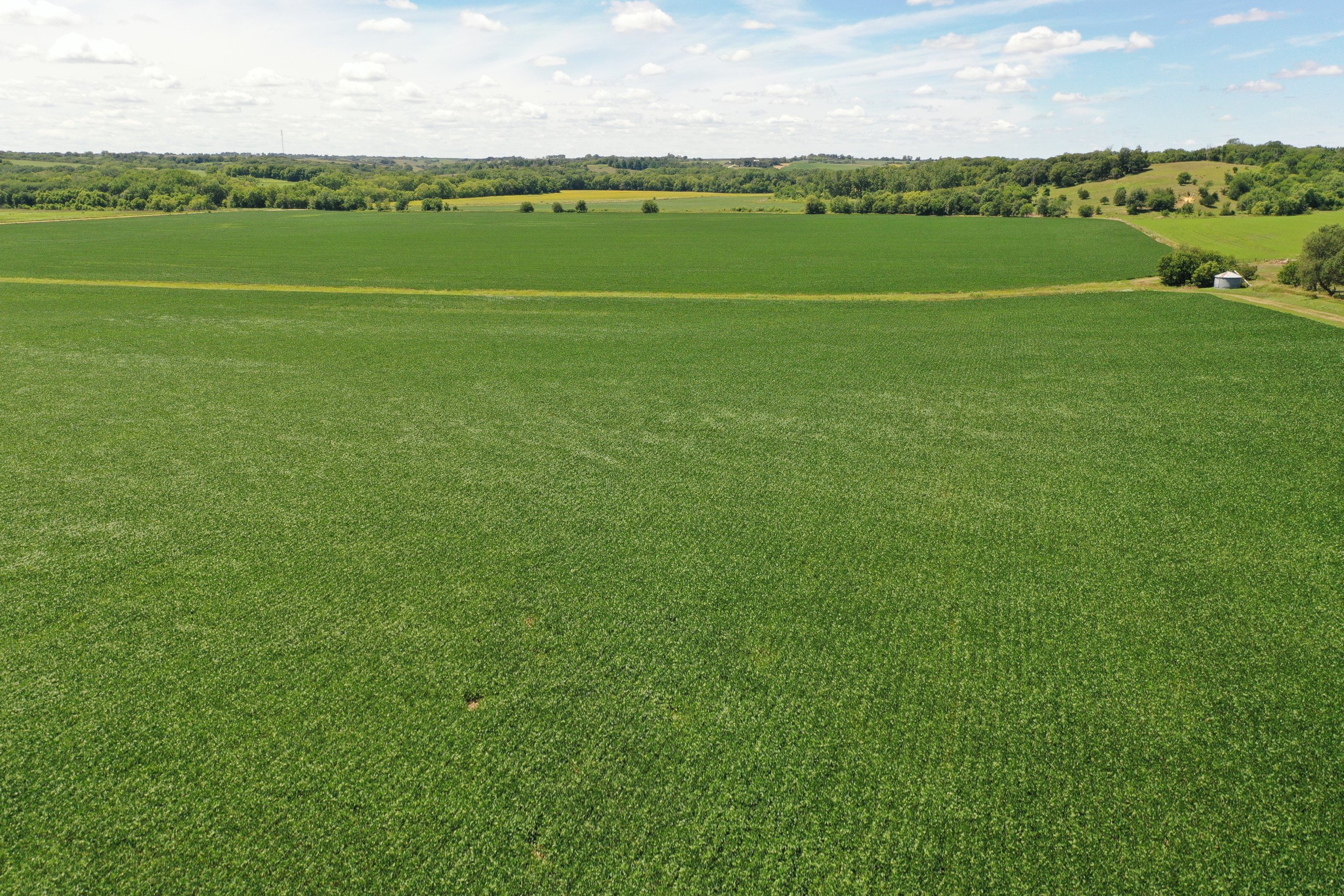 Guthrie County Iowa Farmland For Sale