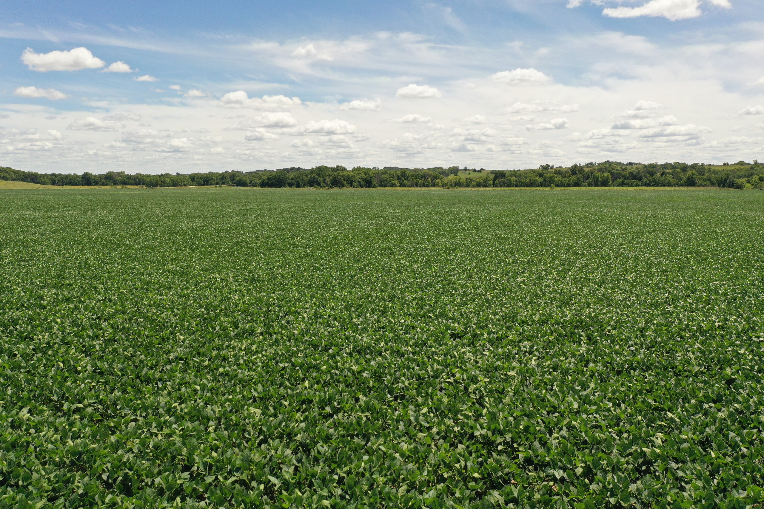 Guthrie County Iowa Farmland For Sale