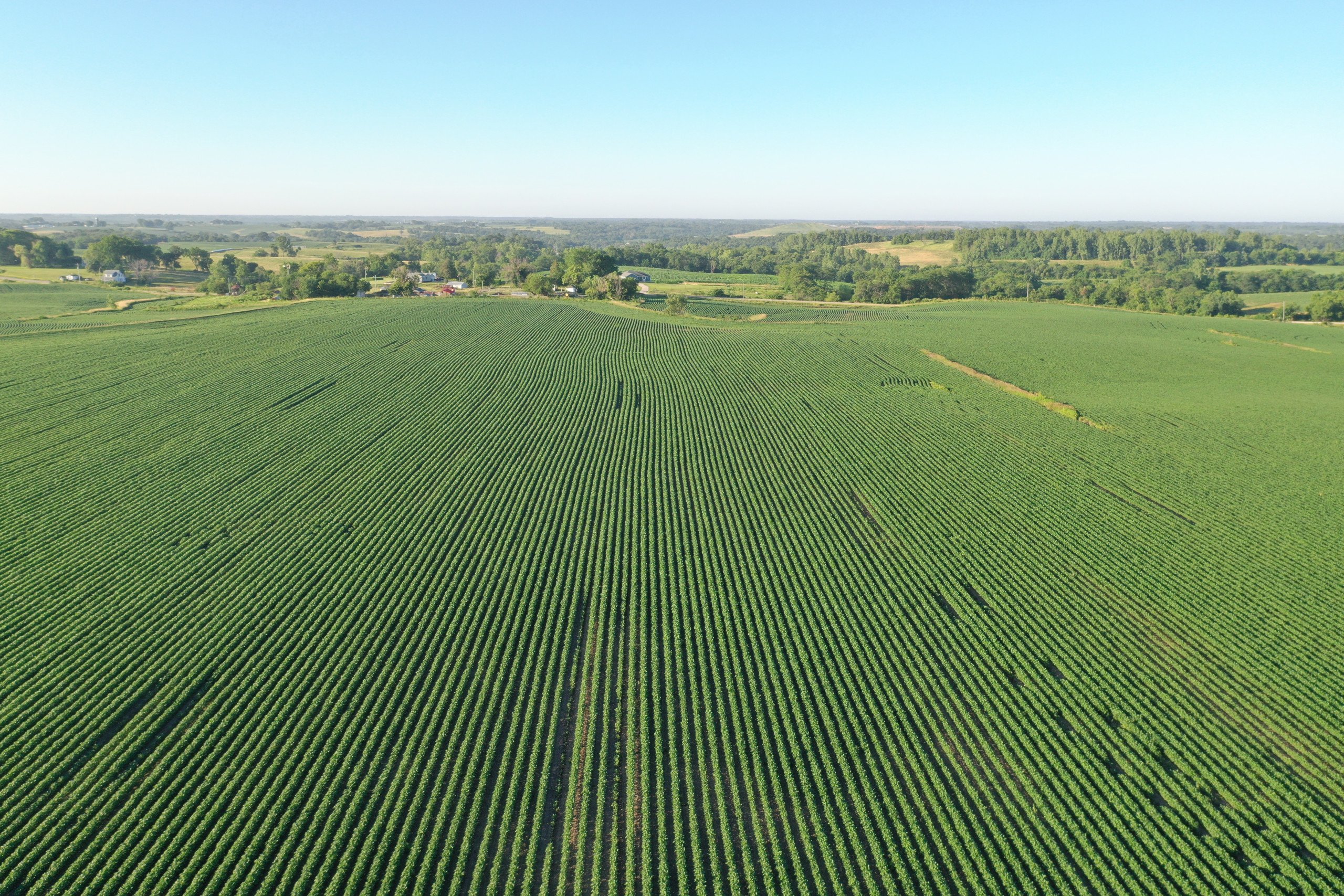 auctions-marion-county-iowa-99-acres-listing-number-16295-DJI_0471-1.jpg
