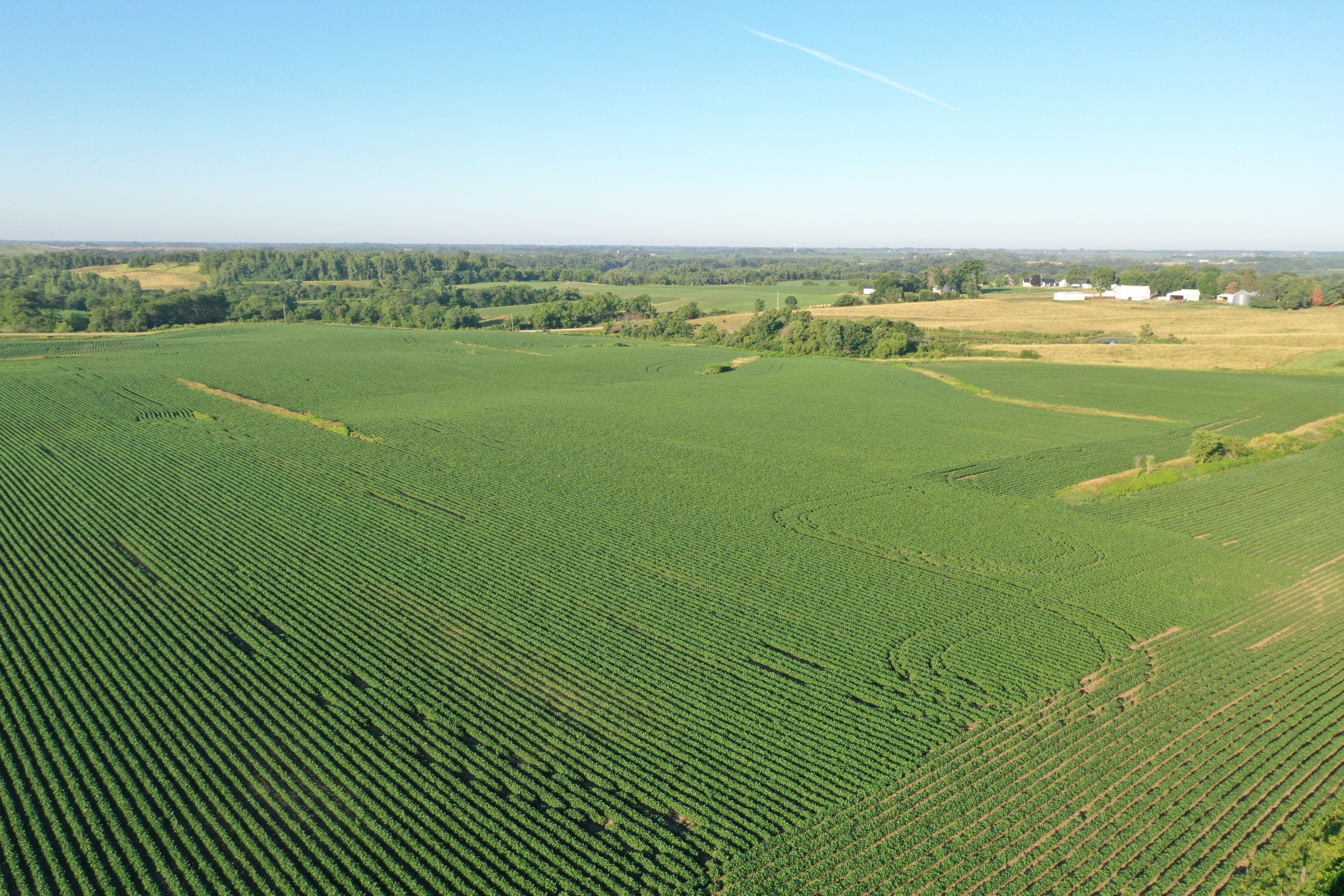 auctions-marion-county-iowa-99-acres-listing-number-16295-DJI_0472-2.jpg