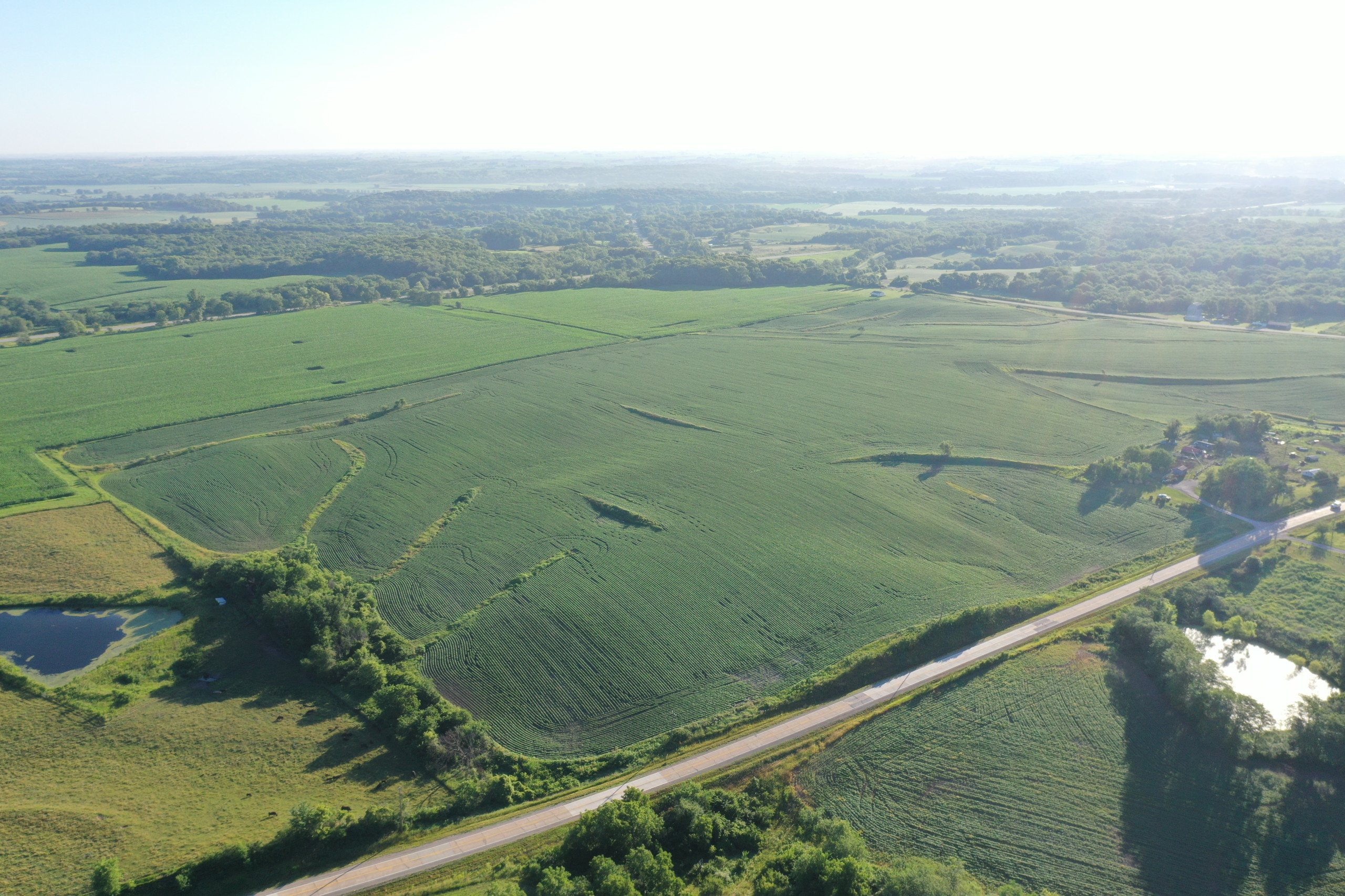 auctions-marion-county-iowa-99-acres-listing-number-16295-DJI_0482-0.jpg