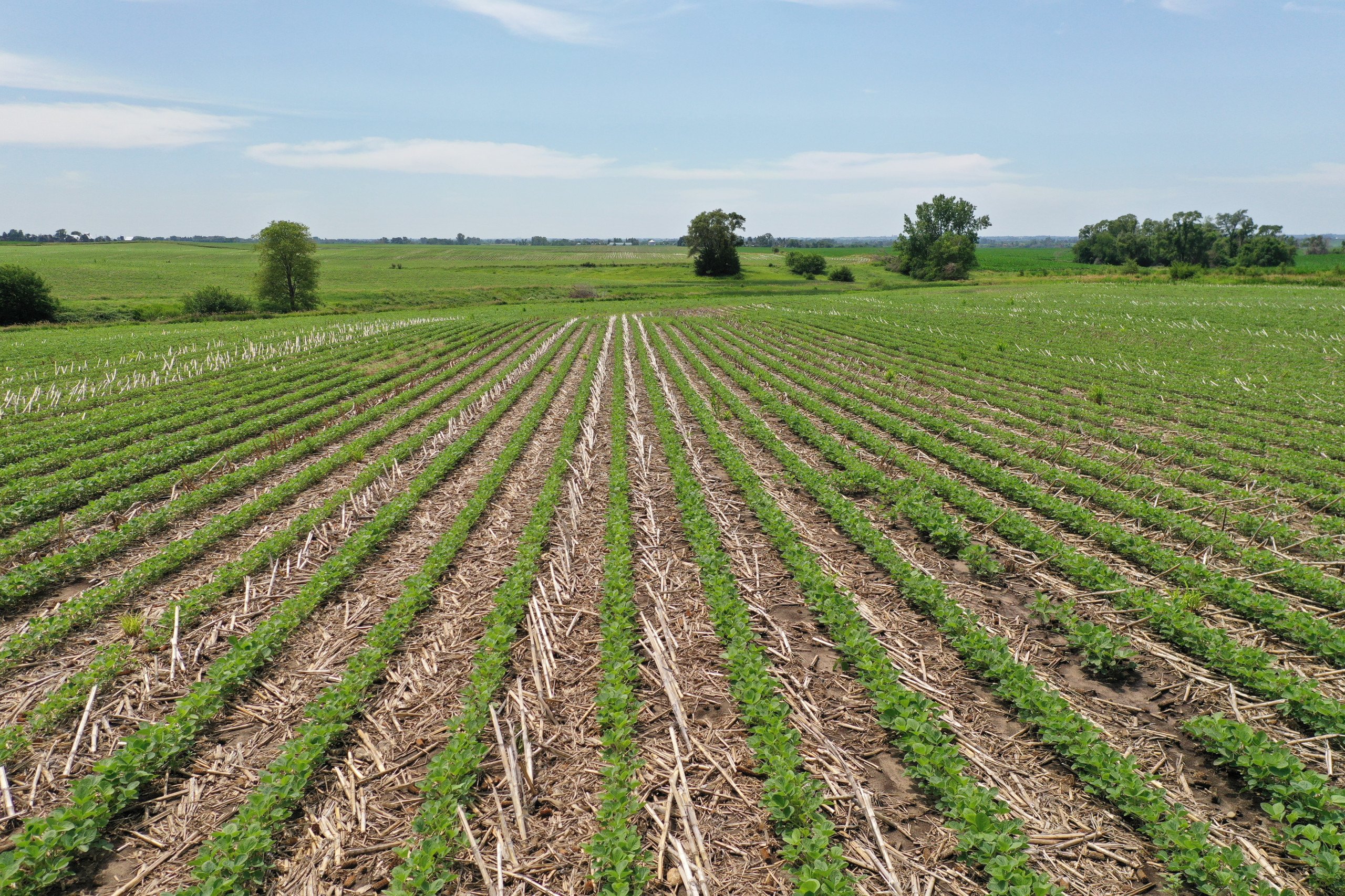 Boone County Iowa Farmland For Sale