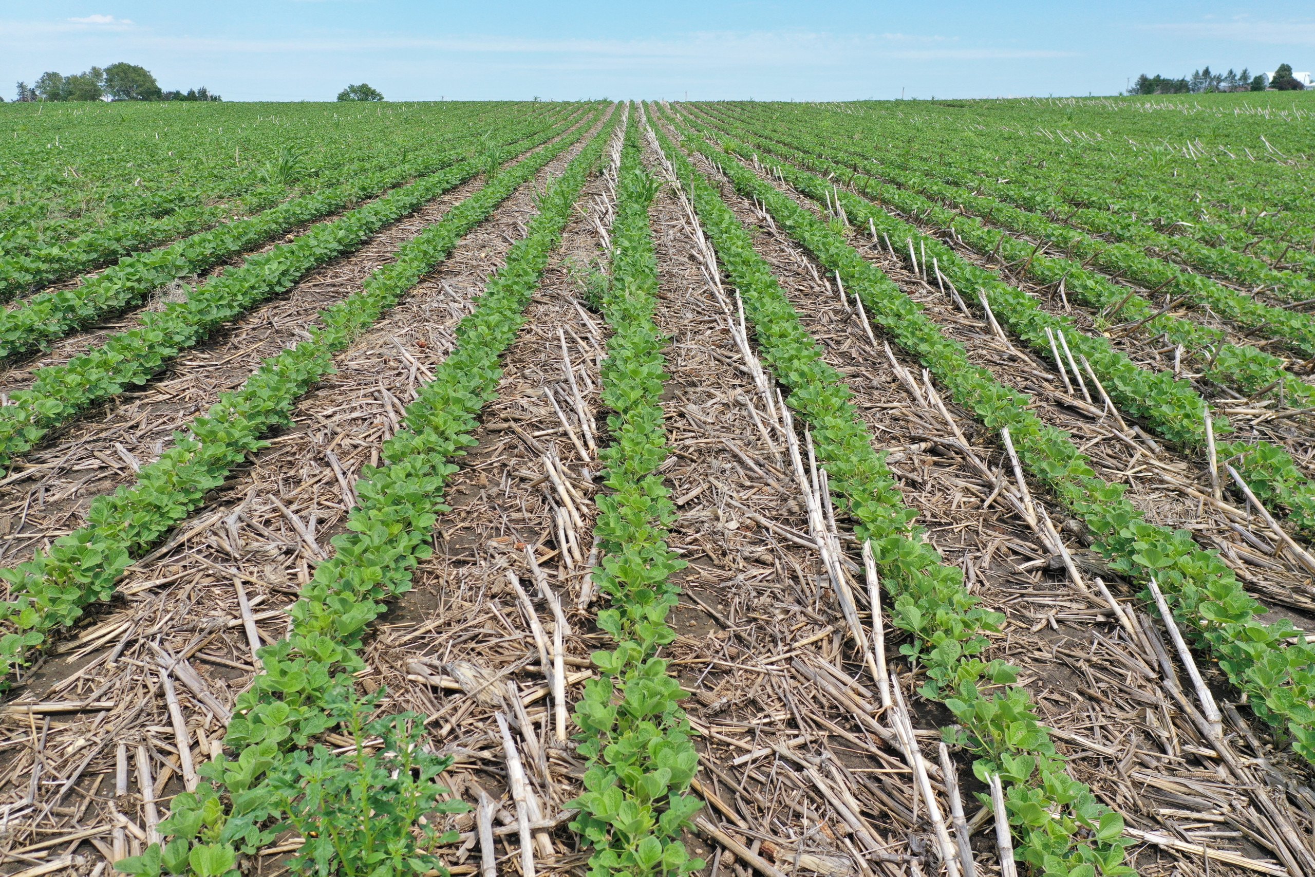 Boone County Iowa Farmland For Sale