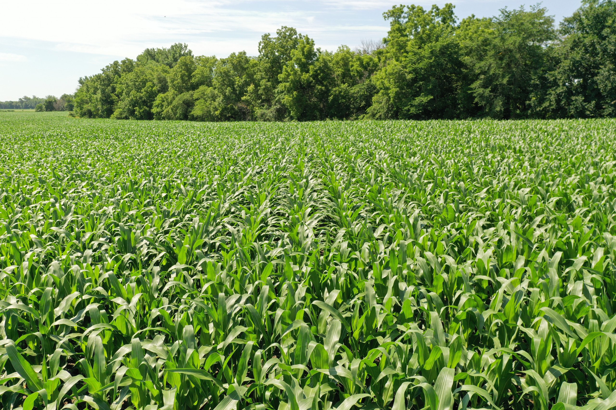 Dallas County Iowa Farmland For Sale