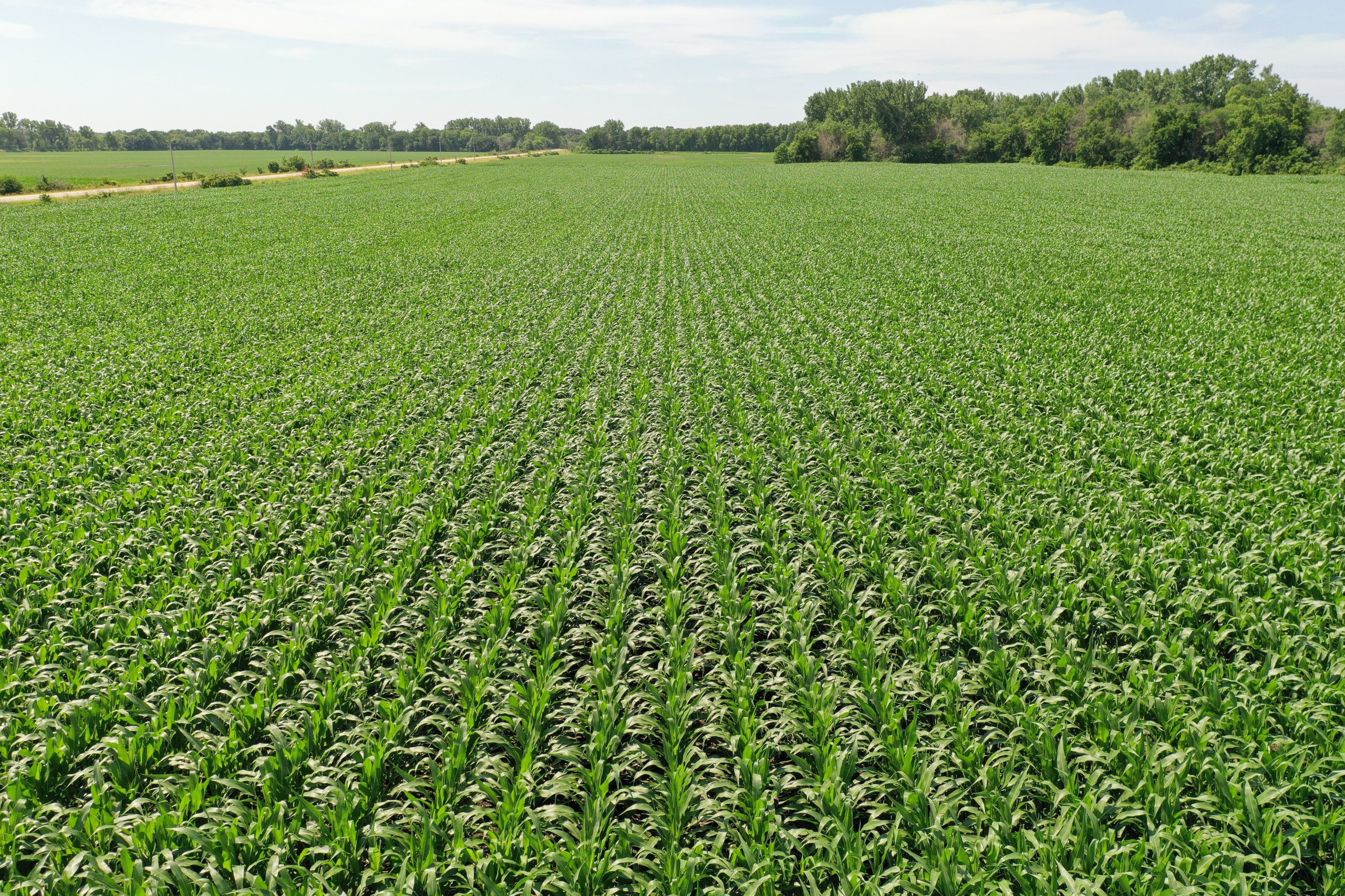 Dallas County Iowa Farmland For Sale