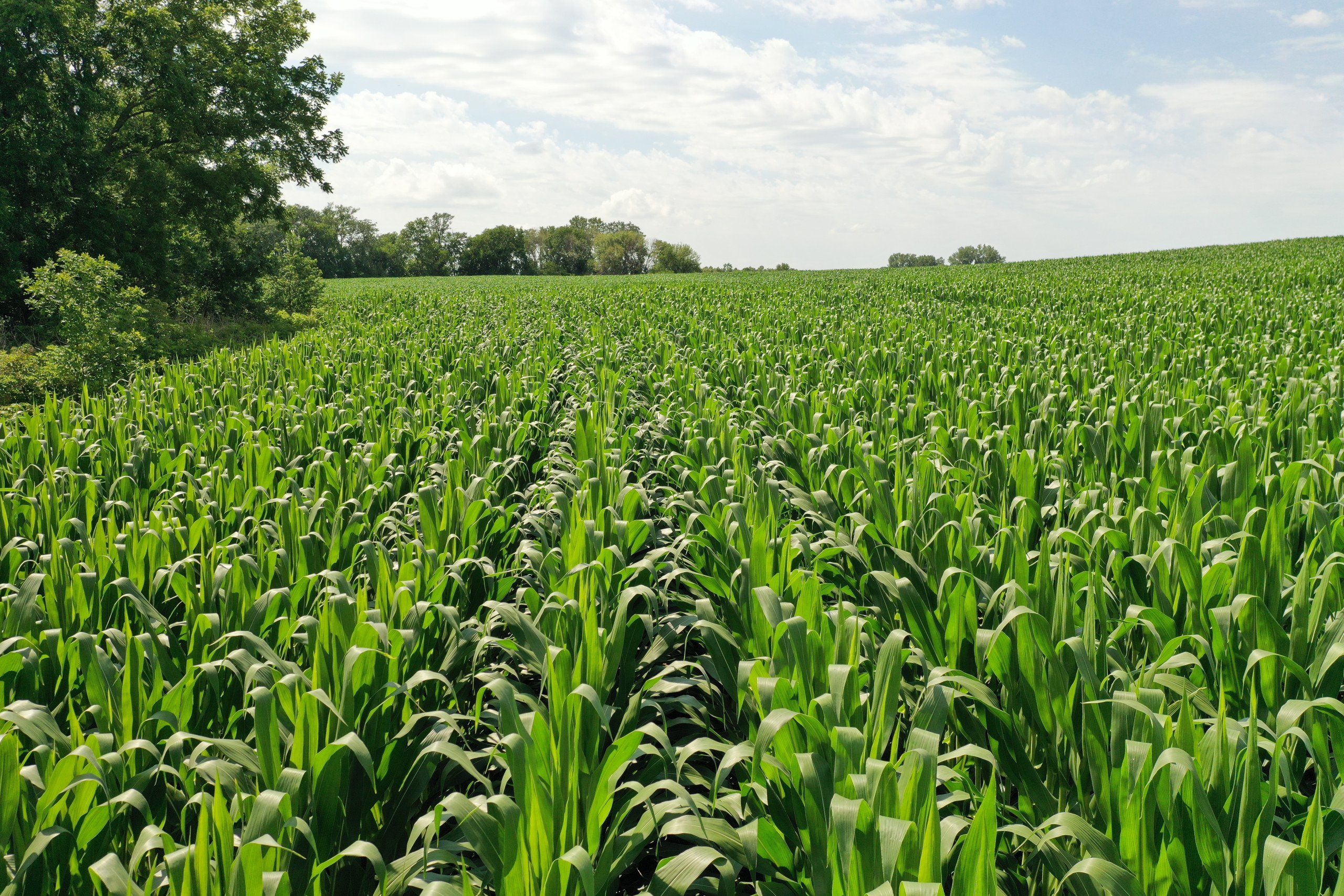 Dallas County Iowa Farmland For Sale