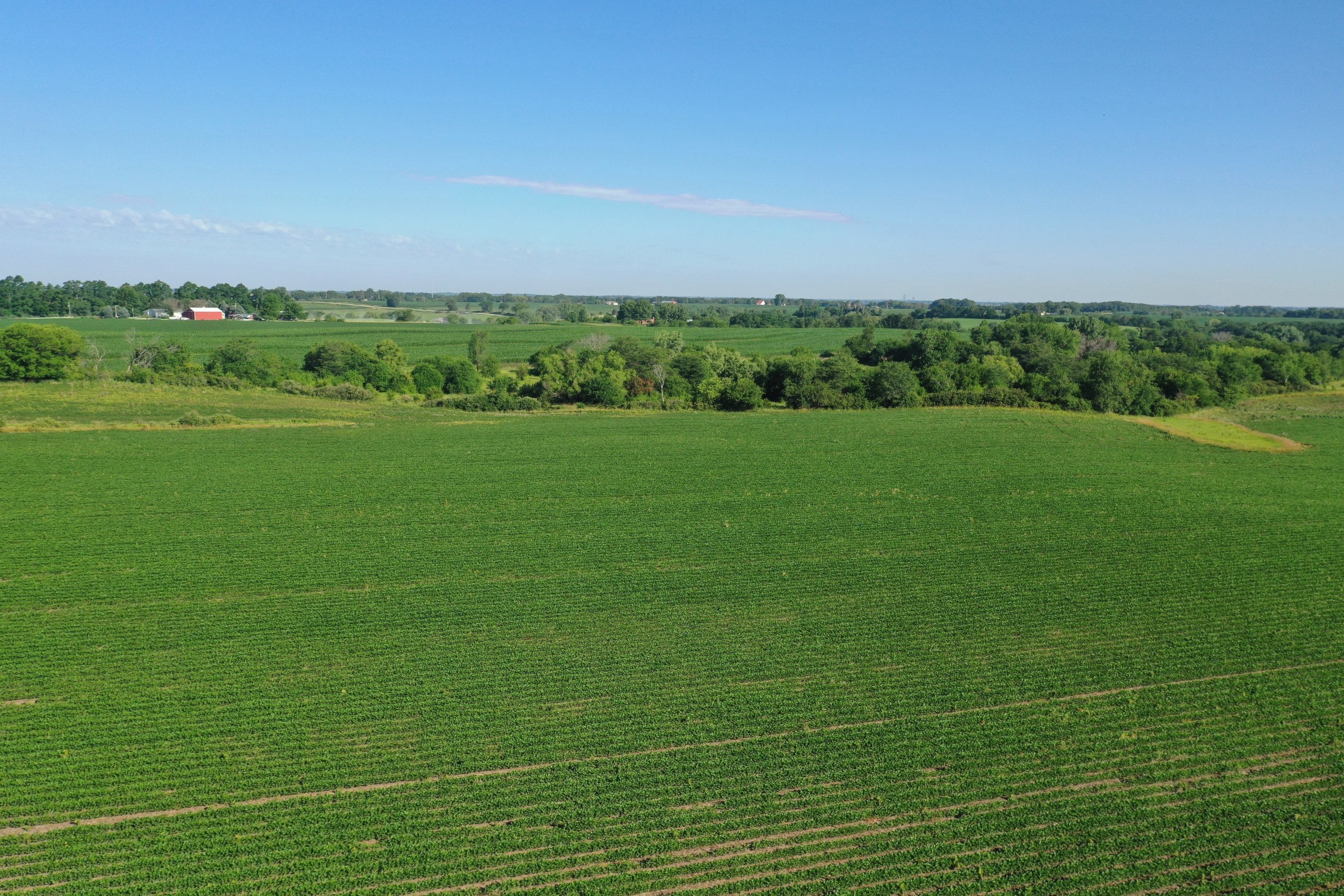 land-warren-county-iowa-42-acres-listing-number-16302-DJI_0551-0.jpg