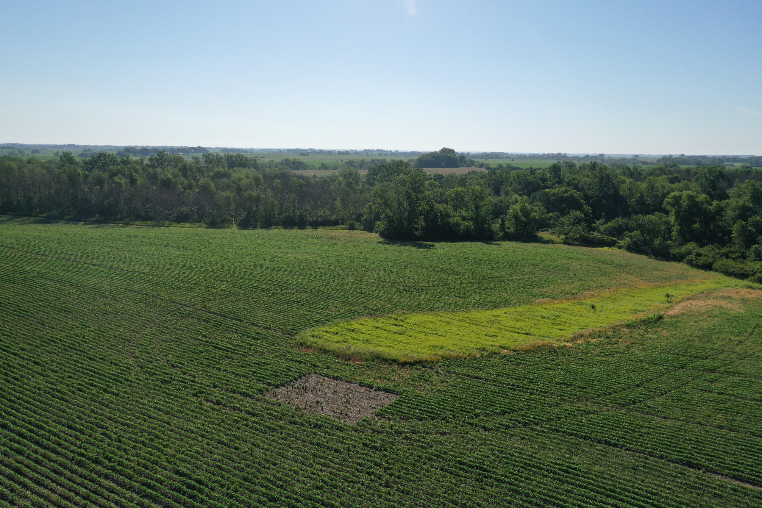 land-warren-county-iowa-42-acres-listing-number-16302-DJI_0553-2.jpg