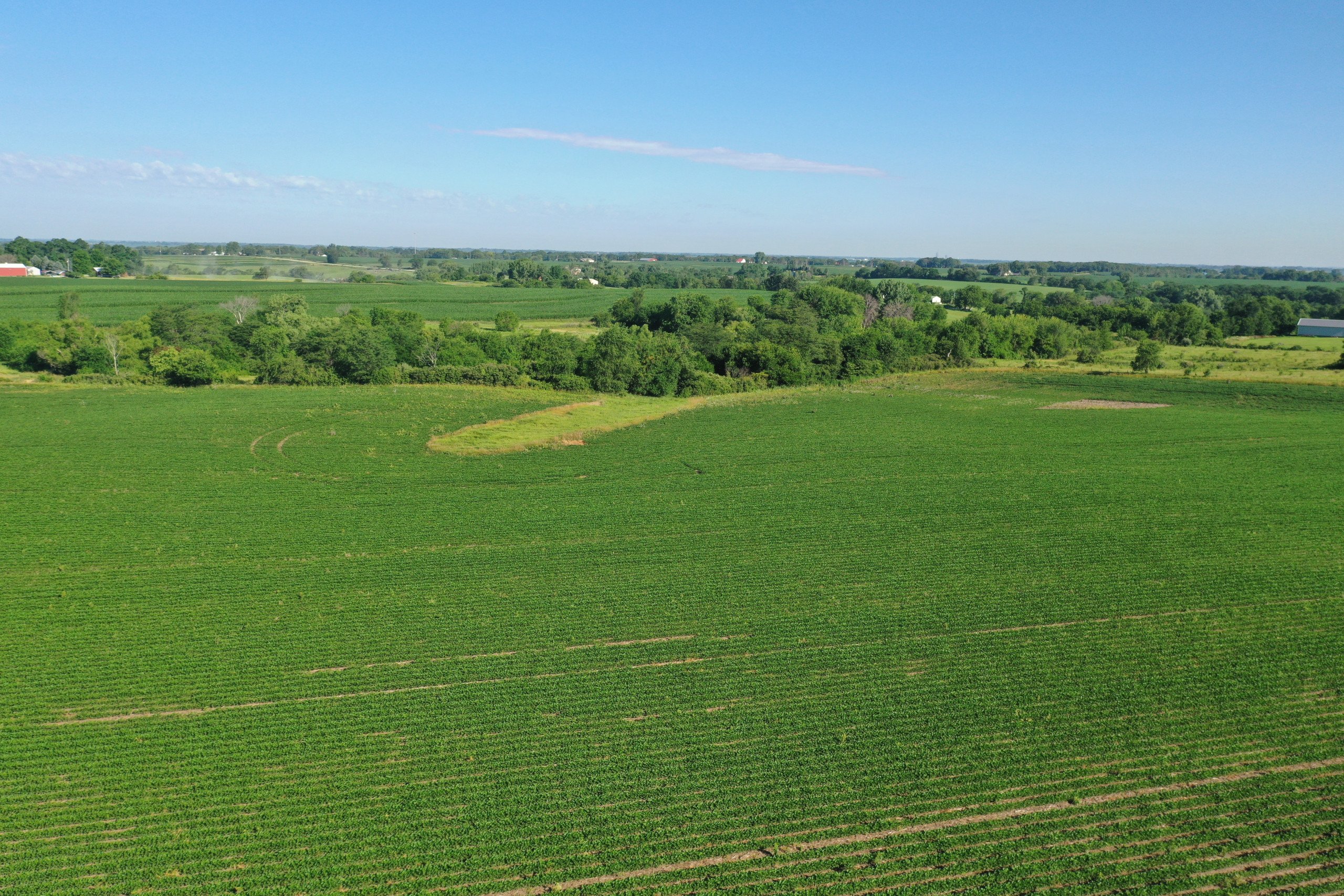 land-warren-county-iowa-42-acres-listing-number-16302-DJI_0554-3.jpg