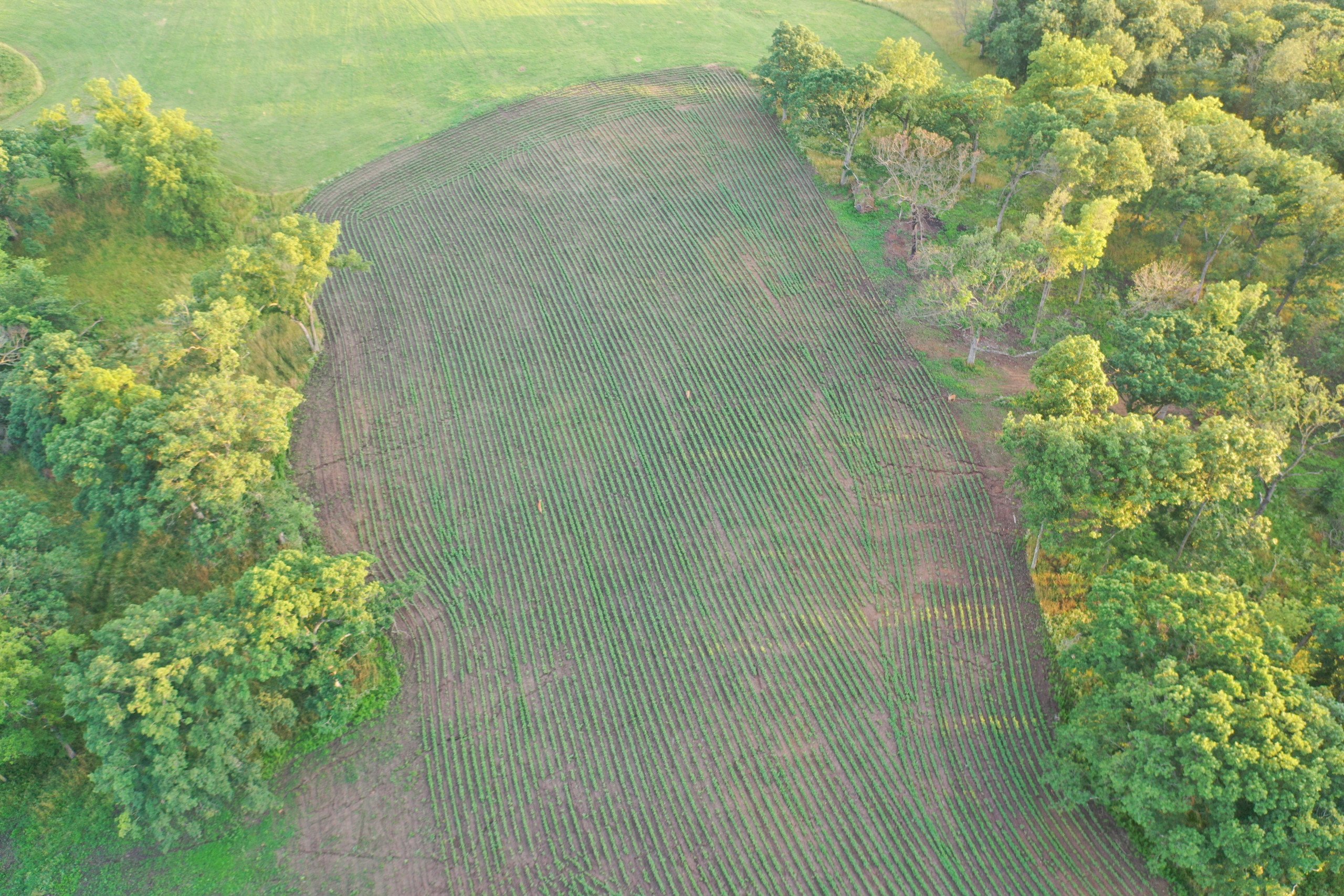 land-madison-county-iowa-0-acres-listing-number-16307-DJI_0433-7.jpg