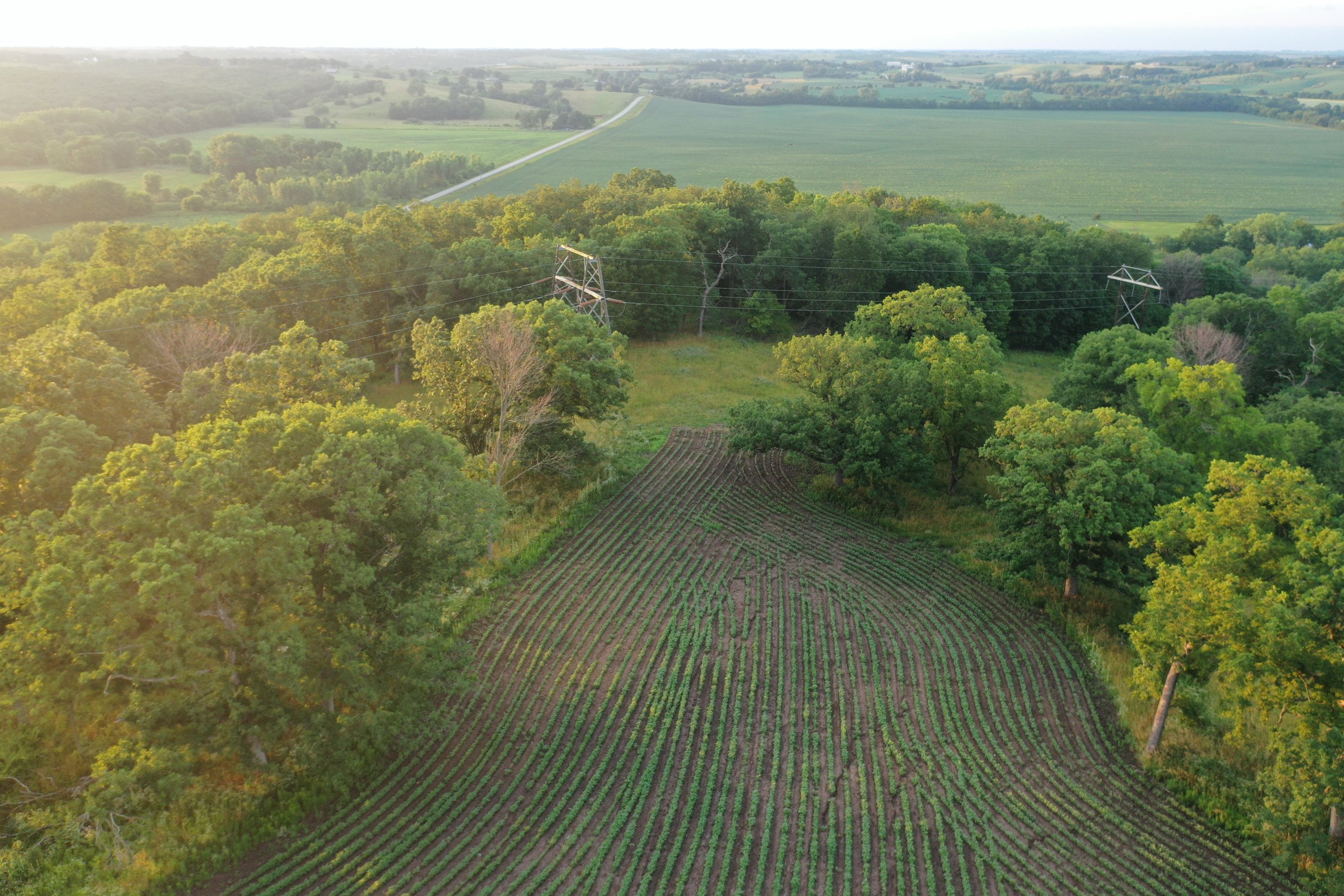 land-madison-county-iowa-0-acres-listing-number-16307-DJI_0439-3.jpg