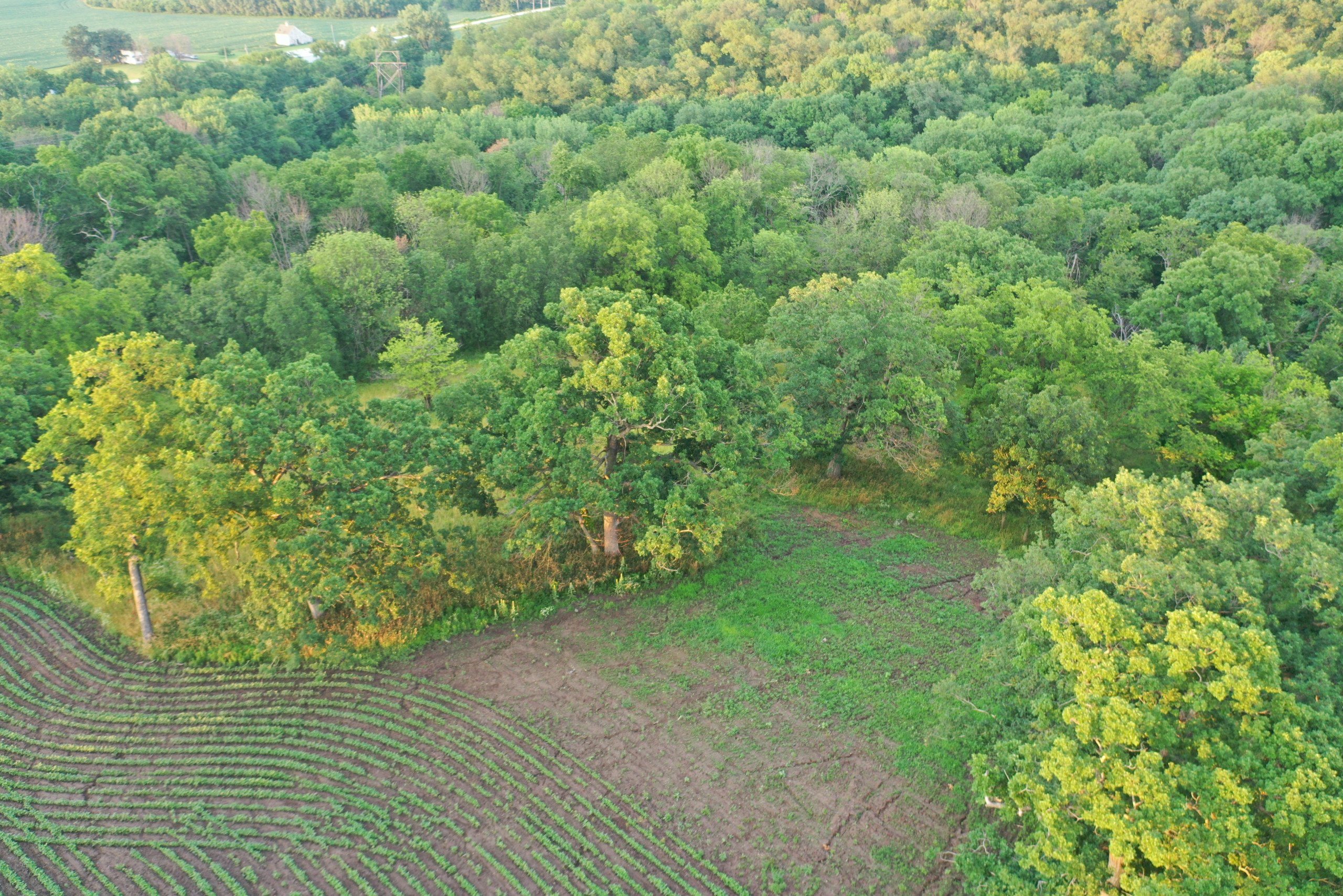 land-madison-county-iowa-0-acres-listing-number-16307-DJI_0440-4.jpg