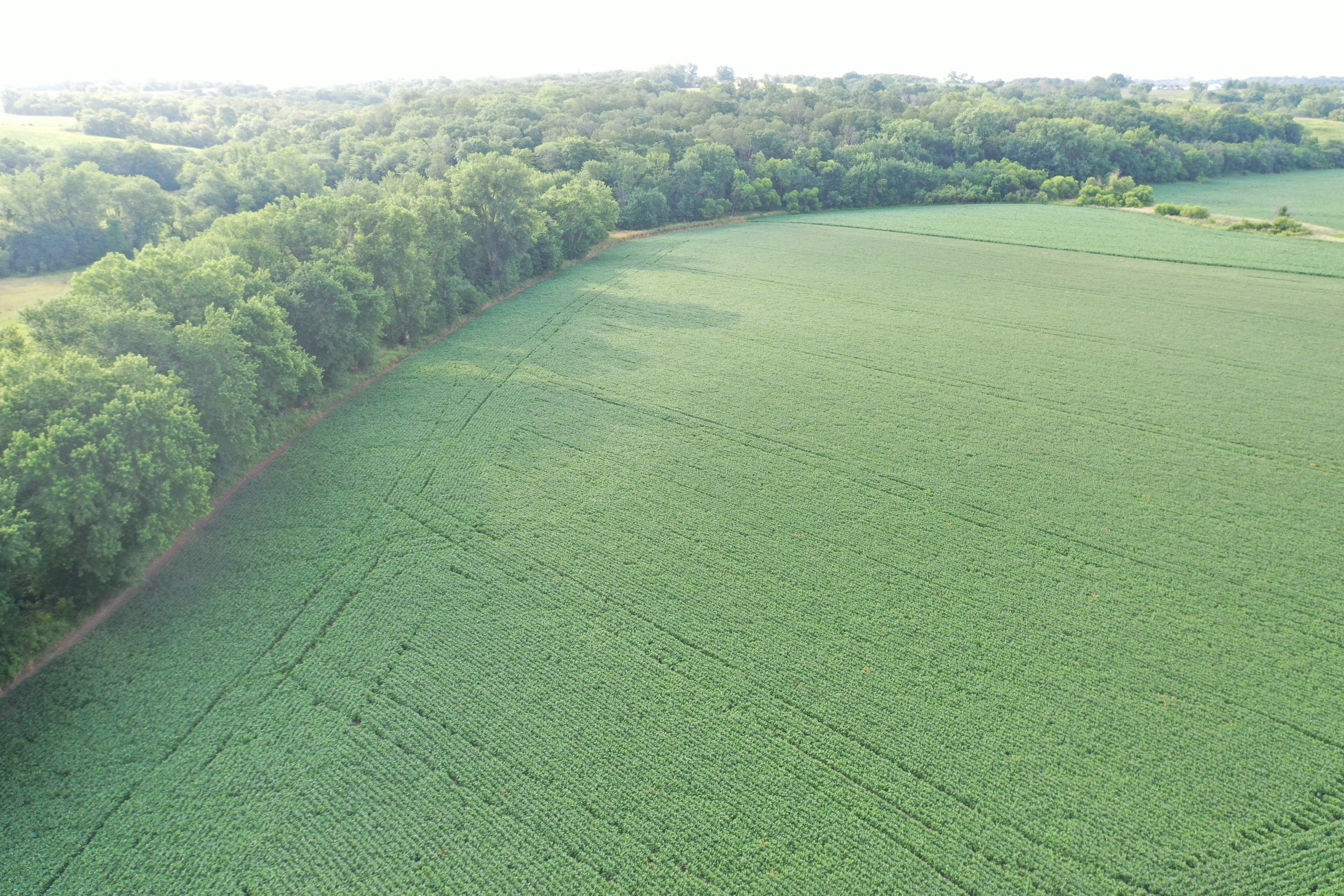 land-marion-county-iowa-16-acres-listing-number-16309-DJI_0707-3.jpg