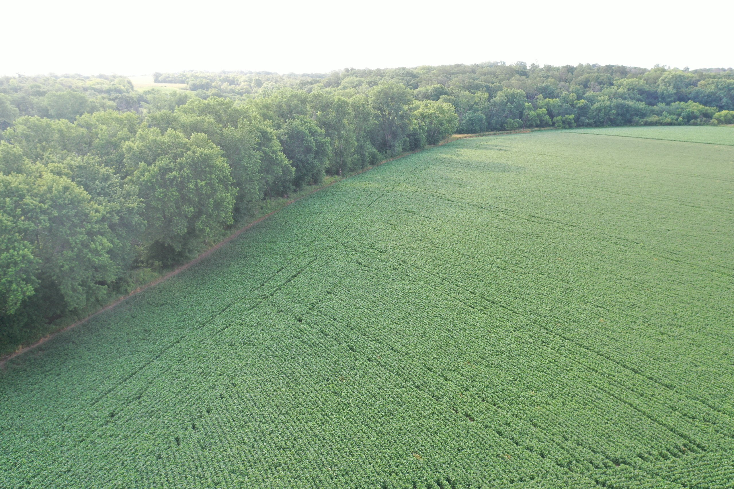 land-marion-county-iowa-16-acres-listing-number-16309-DJI_0708-0.jpg