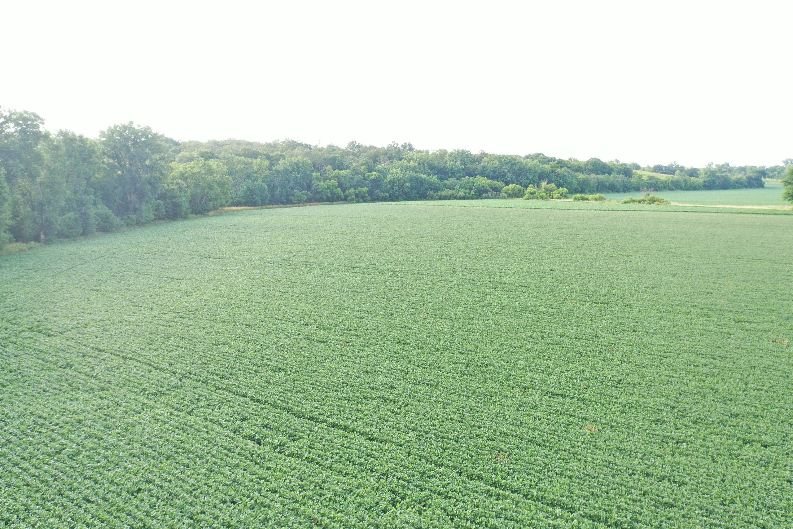 land-marion-county-iowa-16-acres-listing-number-16309-DJI_0711-3.jpg