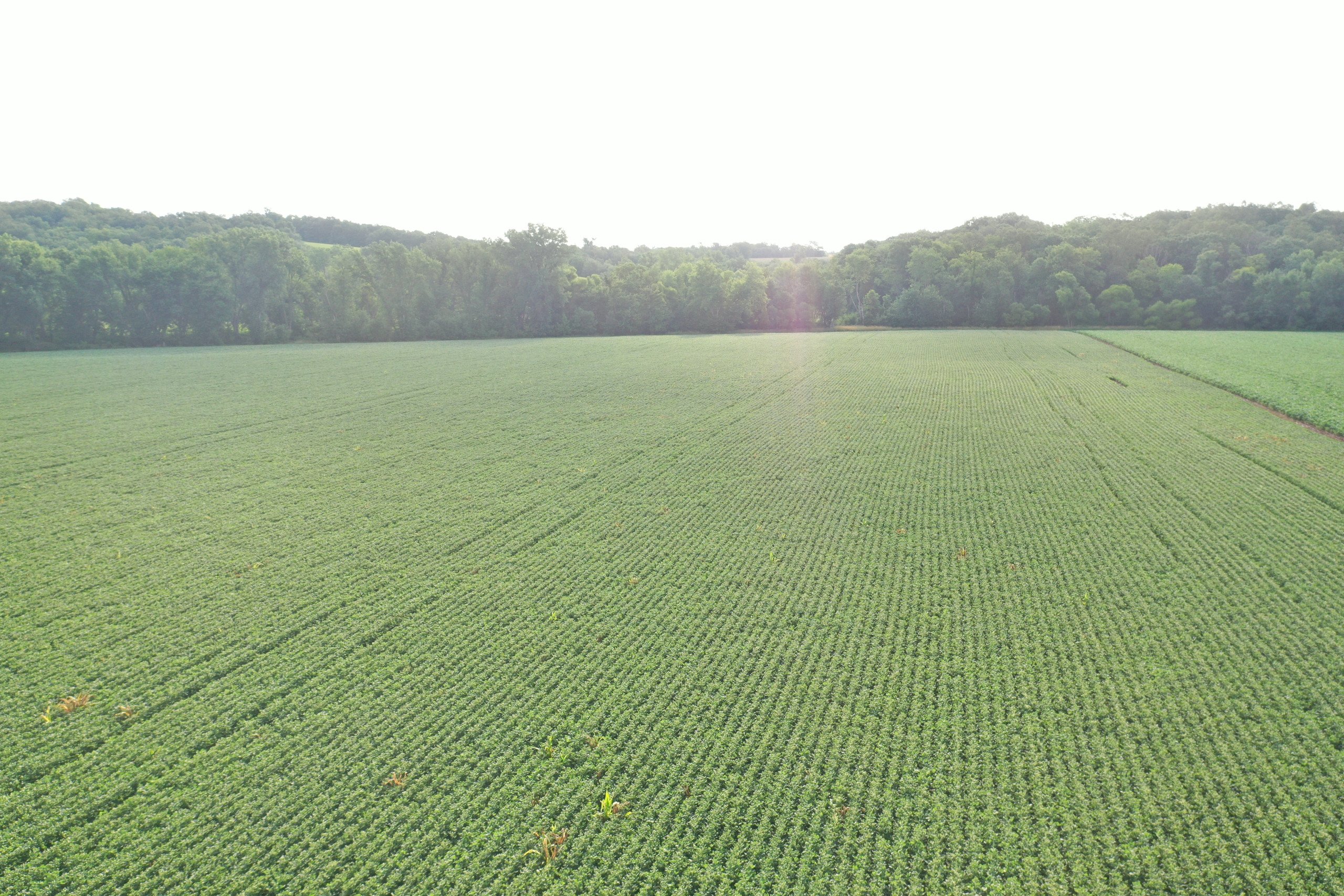 land-marion-county-iowa-16-acres-listing-number-16309-DJI_0713-0.jpg