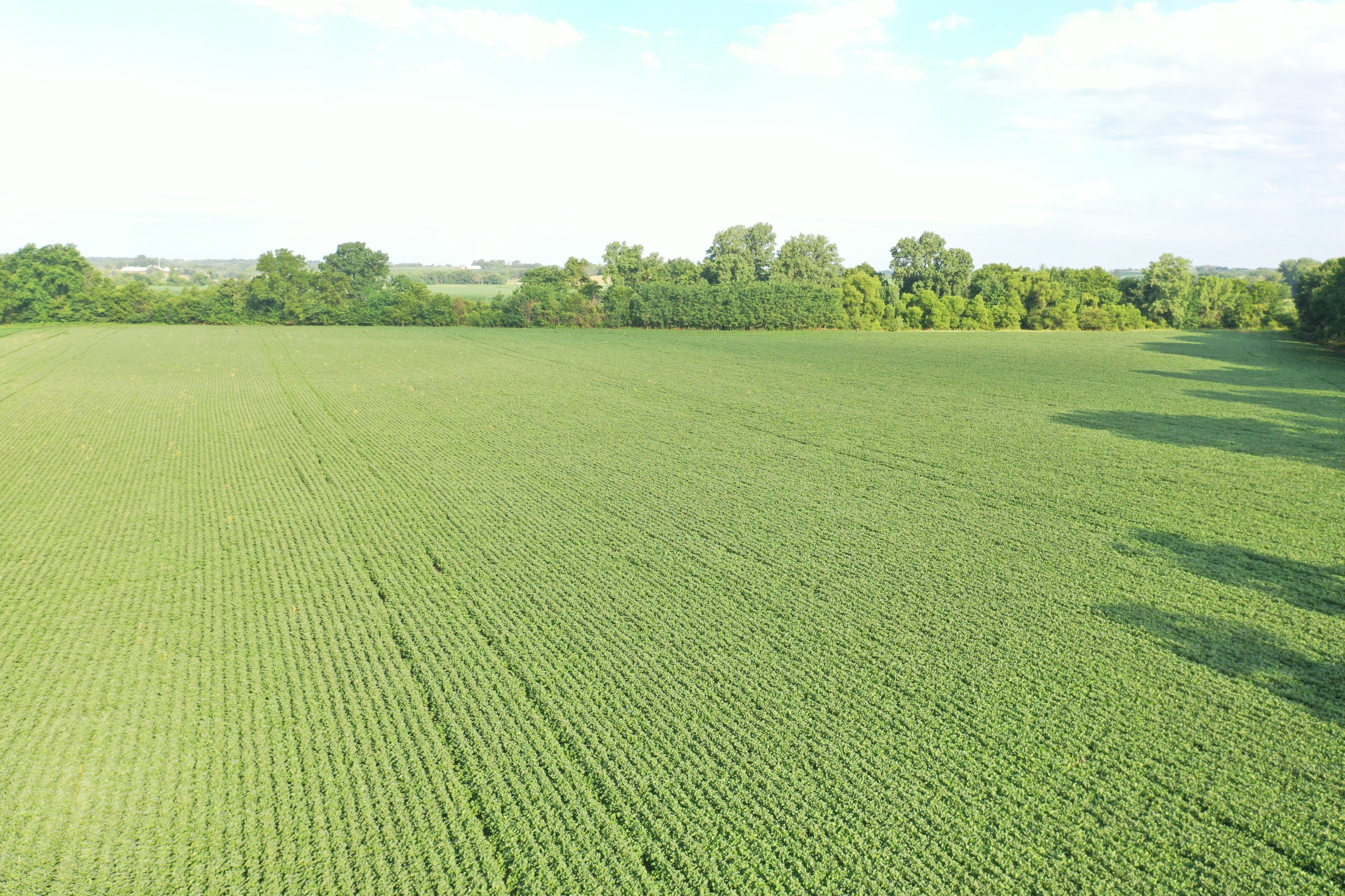 land-marion-county-iowa-16-acres-listing-number-16309-DJI_0714-1.jpg
