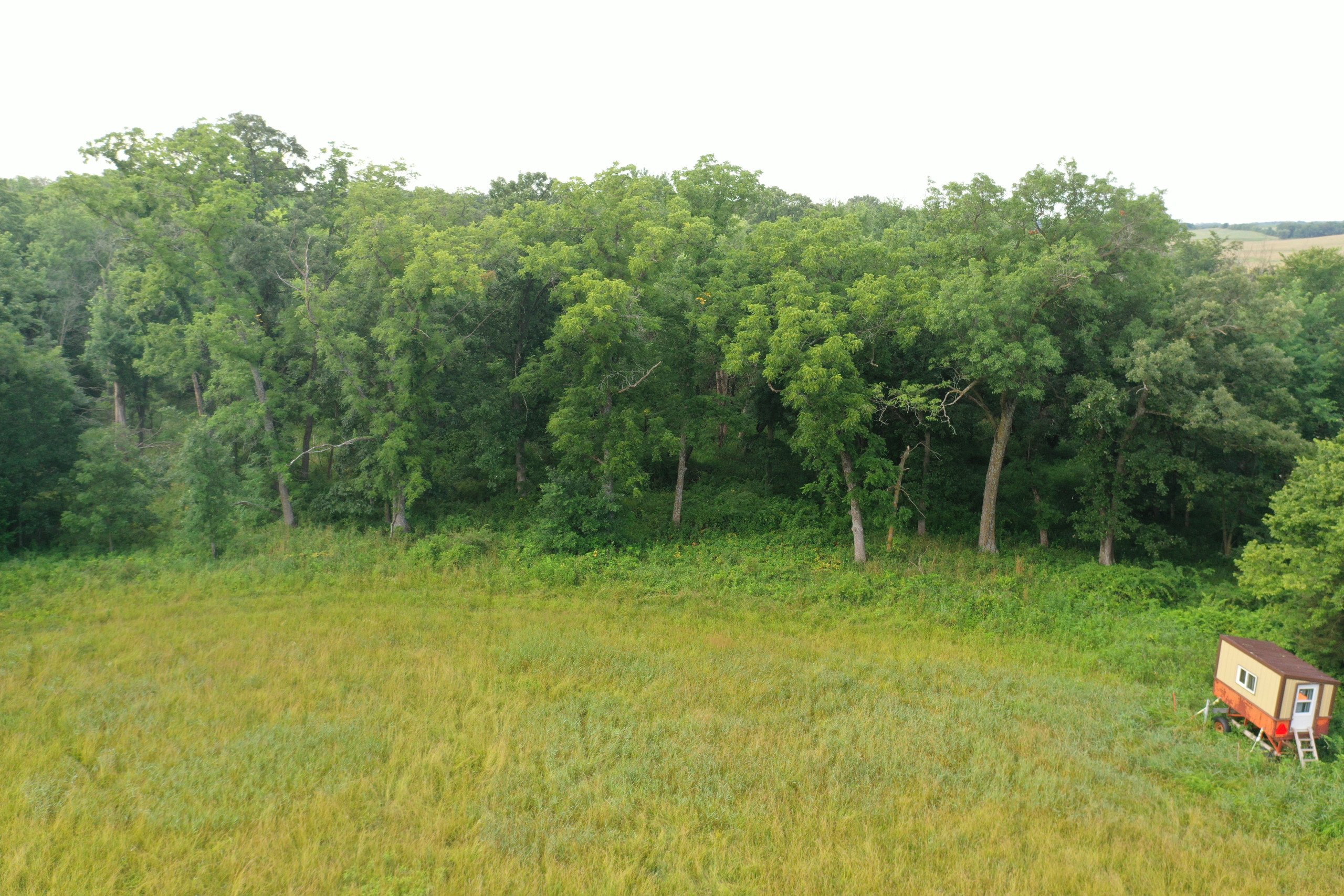 land-lucas-county-iowa-44-acres-listing-number-16311-DJI_0673-6.jpg