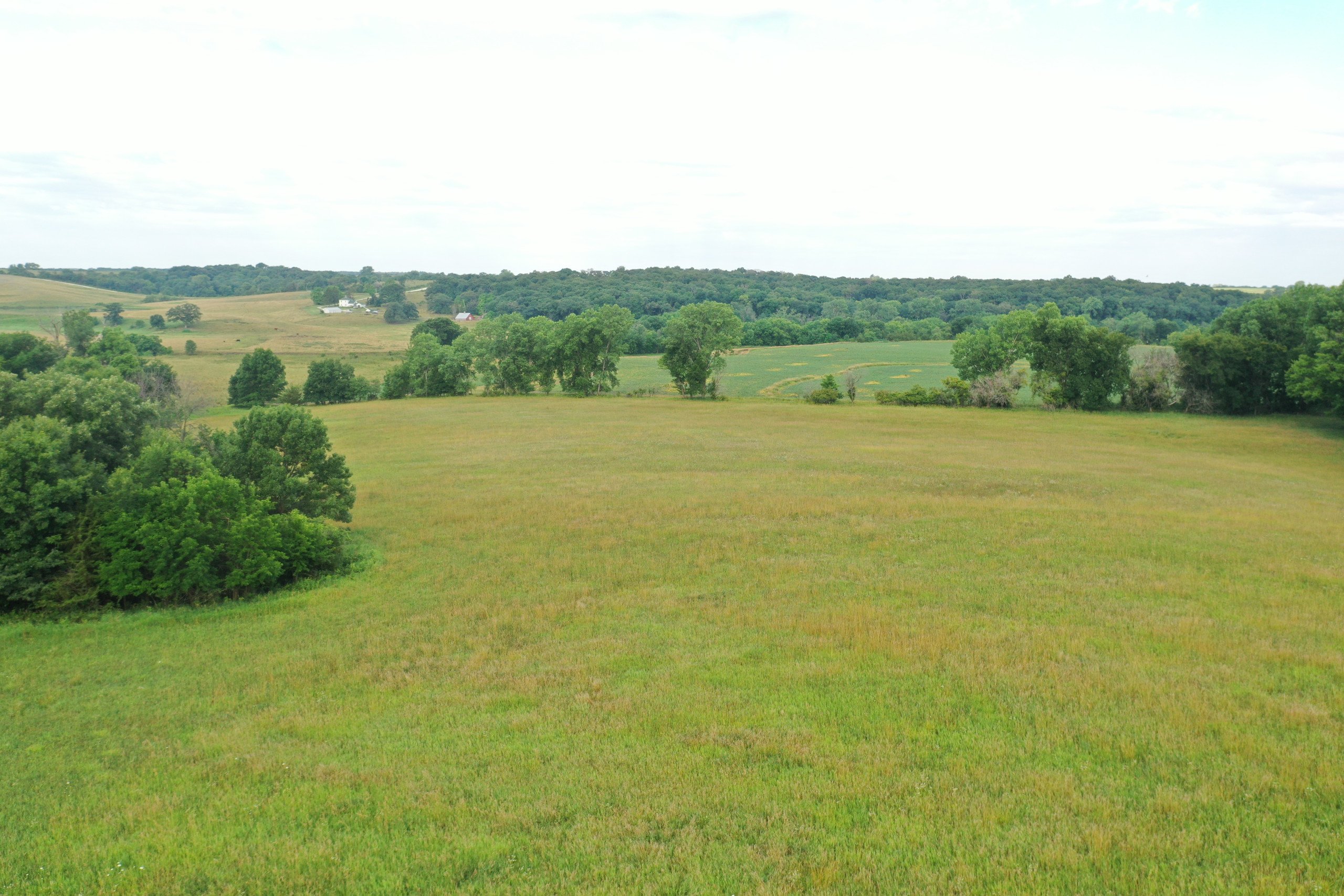 land-lucas-county-iowa-44-acres-listing-number-16311-DJI_0679-4.jpg