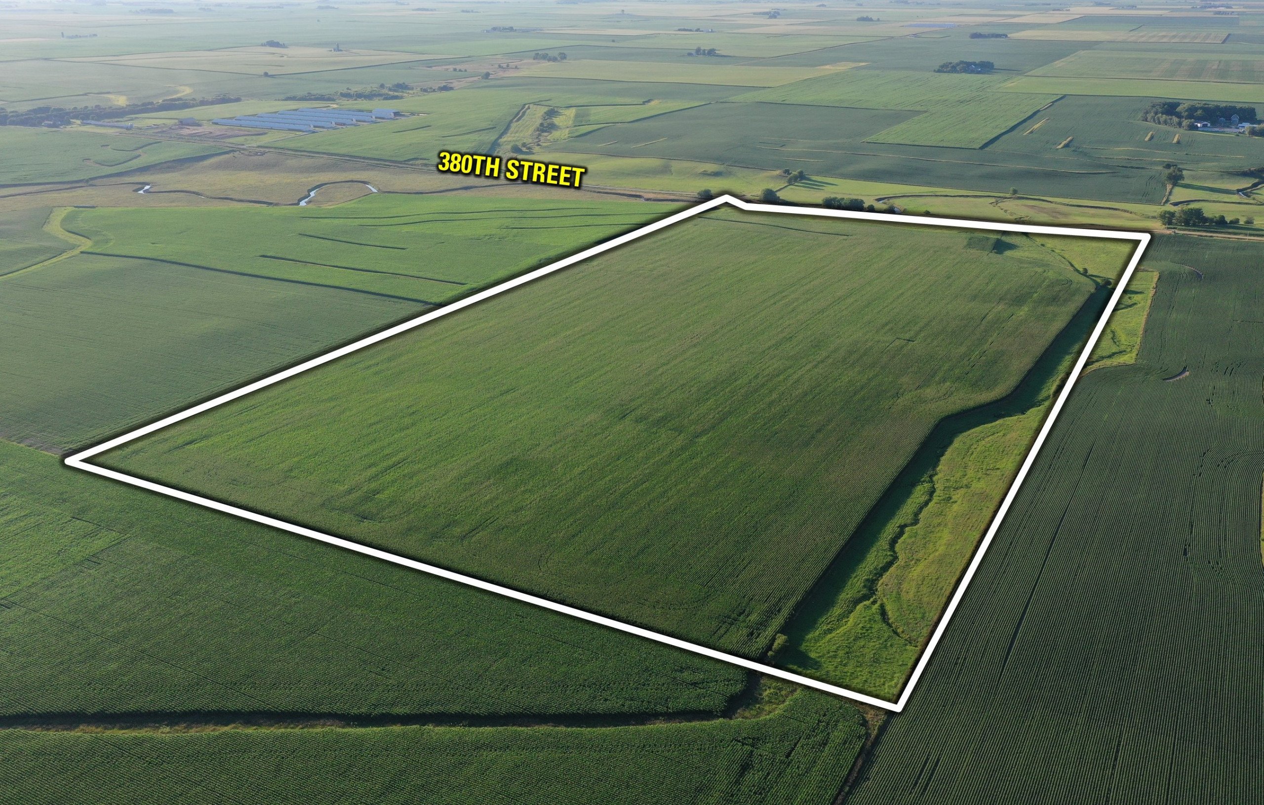 auctions-land-calhoun-county-iowa-80-acres-listing-number-16313-drone 2-1.jpg