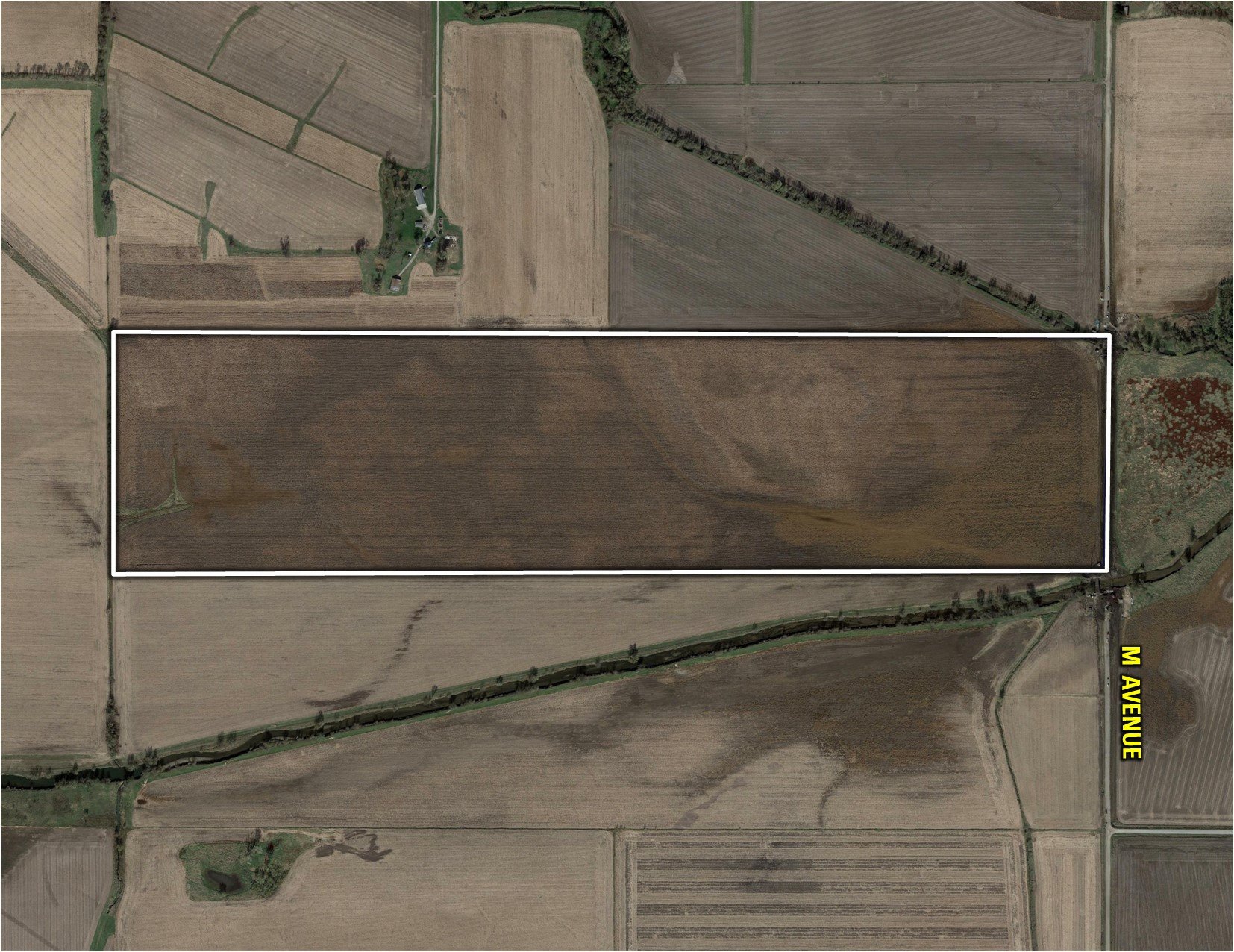 auctions-land-tama-county-iowa-161-acres-listing-number-16314-Google Close-2.jpg