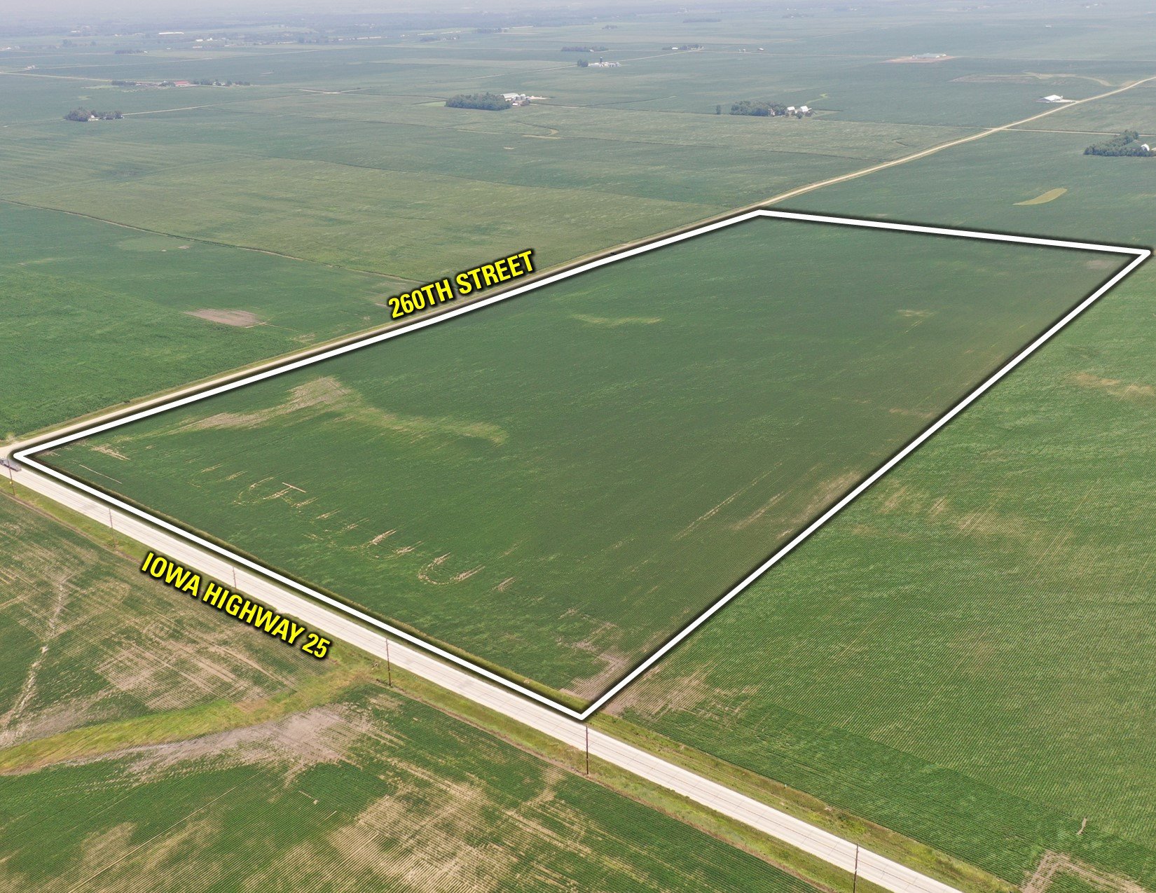 Greene County Iowa Farmland For Sale