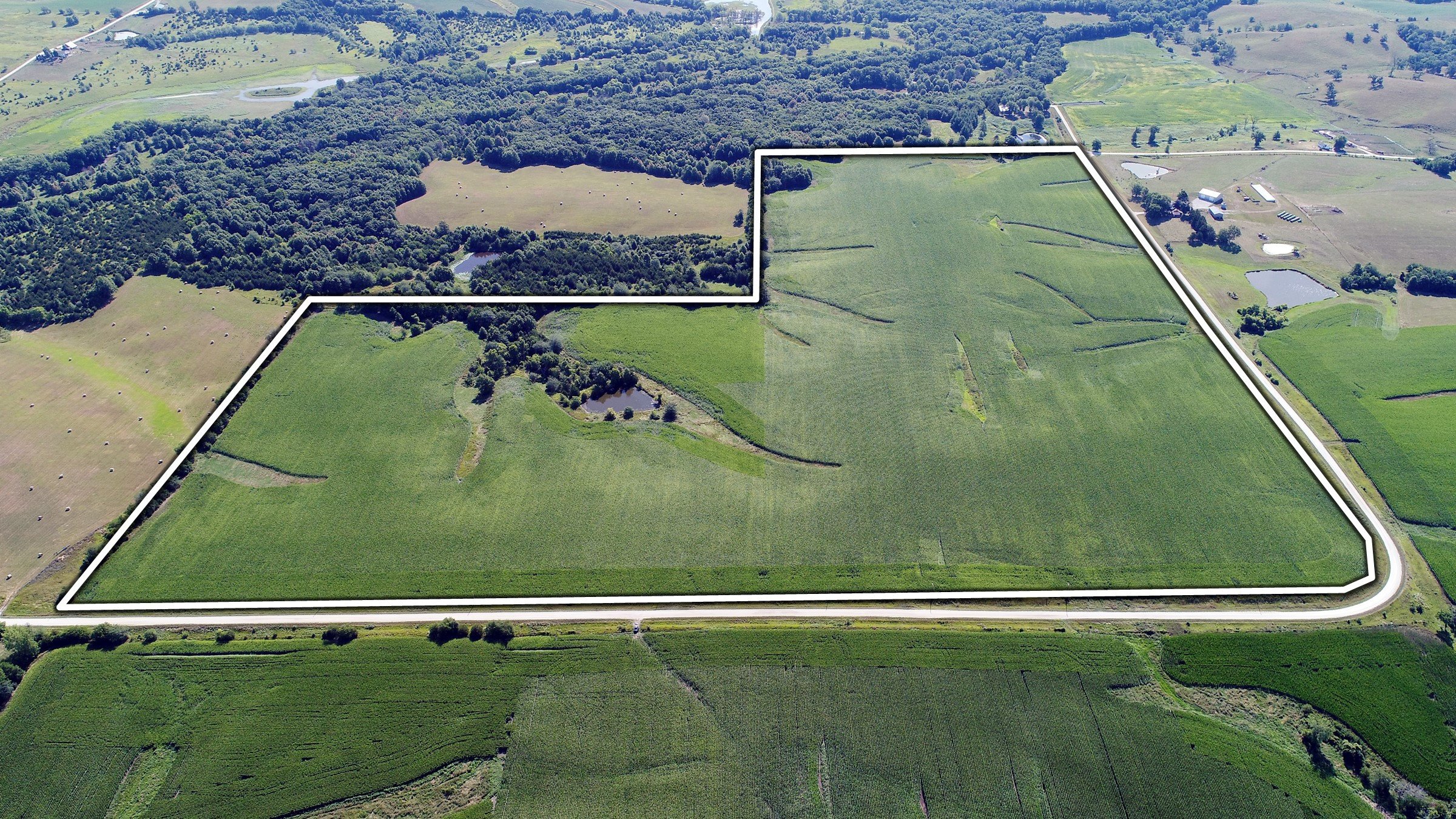 2-235th-ave440th-st-chariton-50049-Reece Tract 2 Aerial -0.jpg