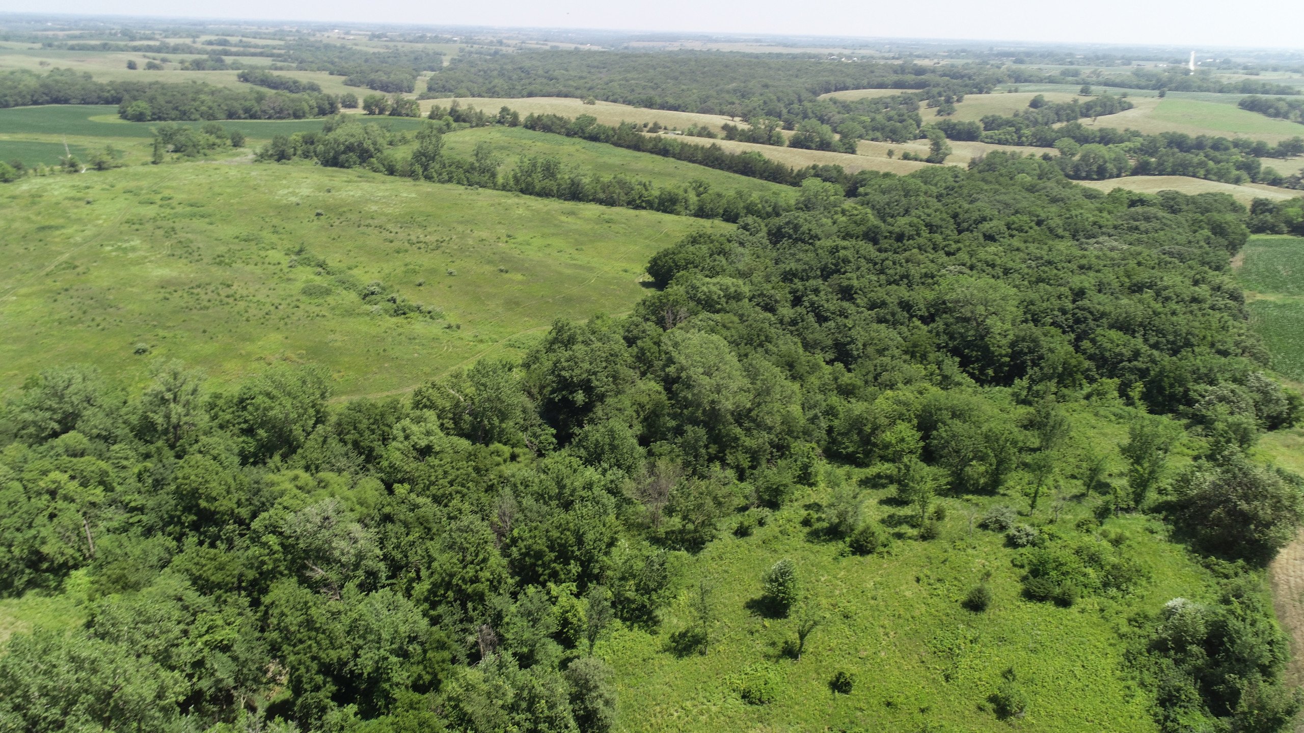 land-clarke-county-iowa-80-acres-listing-number-16323-DJI_0123 (2)-2.jpg