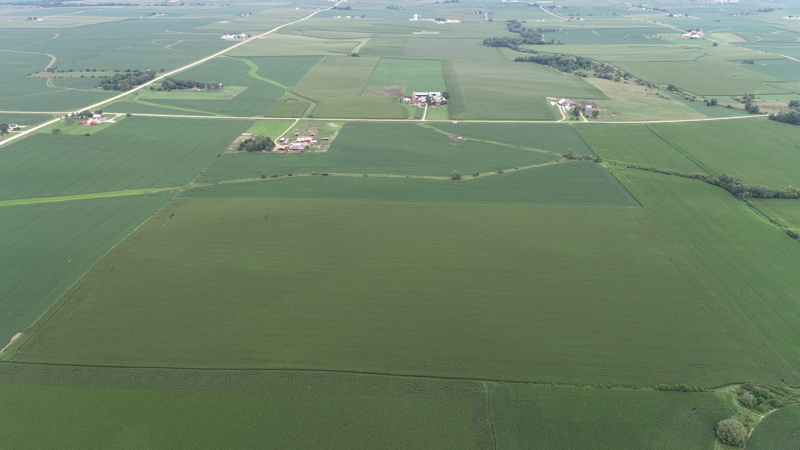 auctions-clinton-county-iowa-120-acres-listing-number-16326-traver image 3-0.jpg