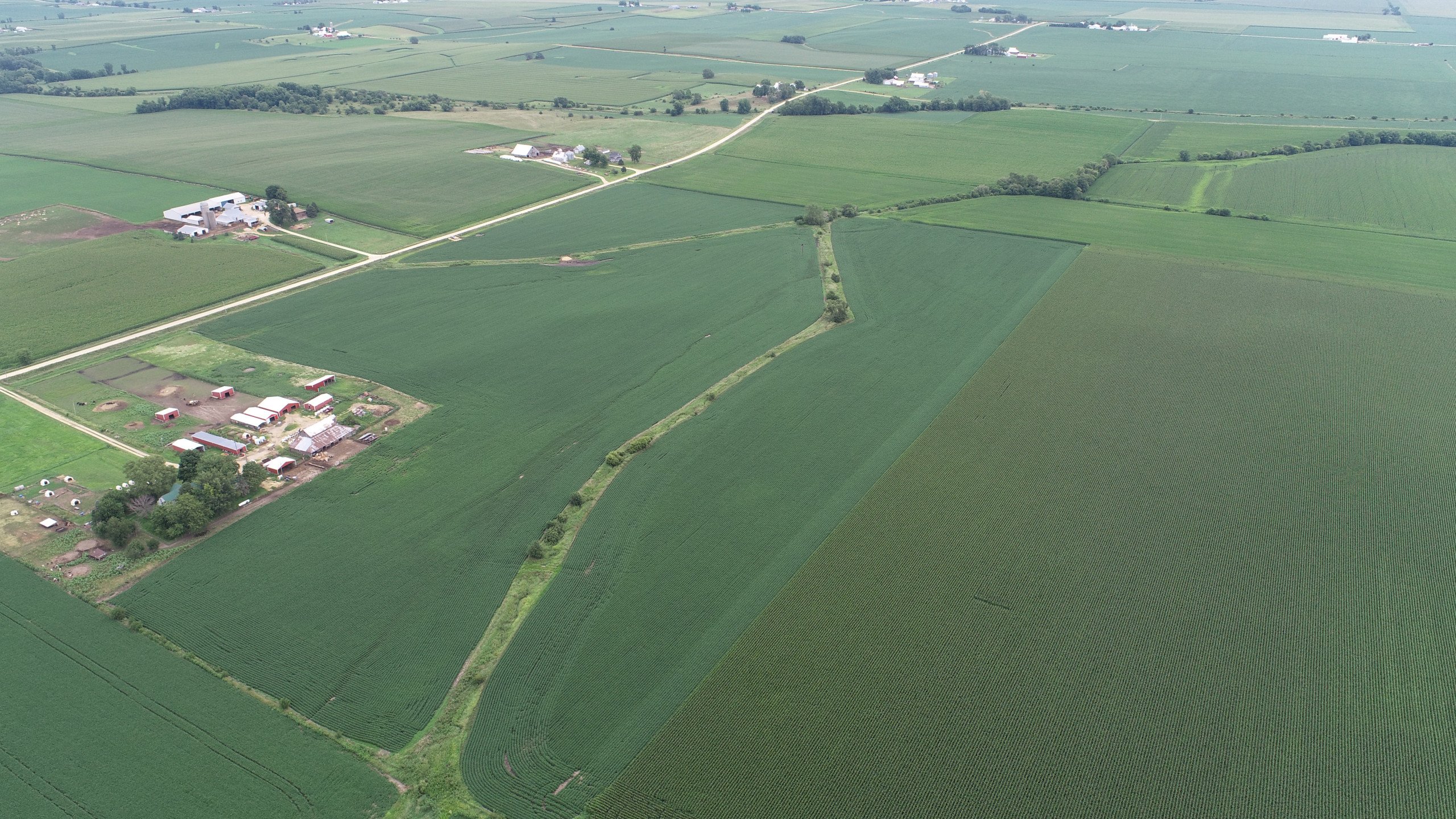 auctions-clinton-county-iowa-120-acres-listing-number-16326-traver image 5-0.jpg