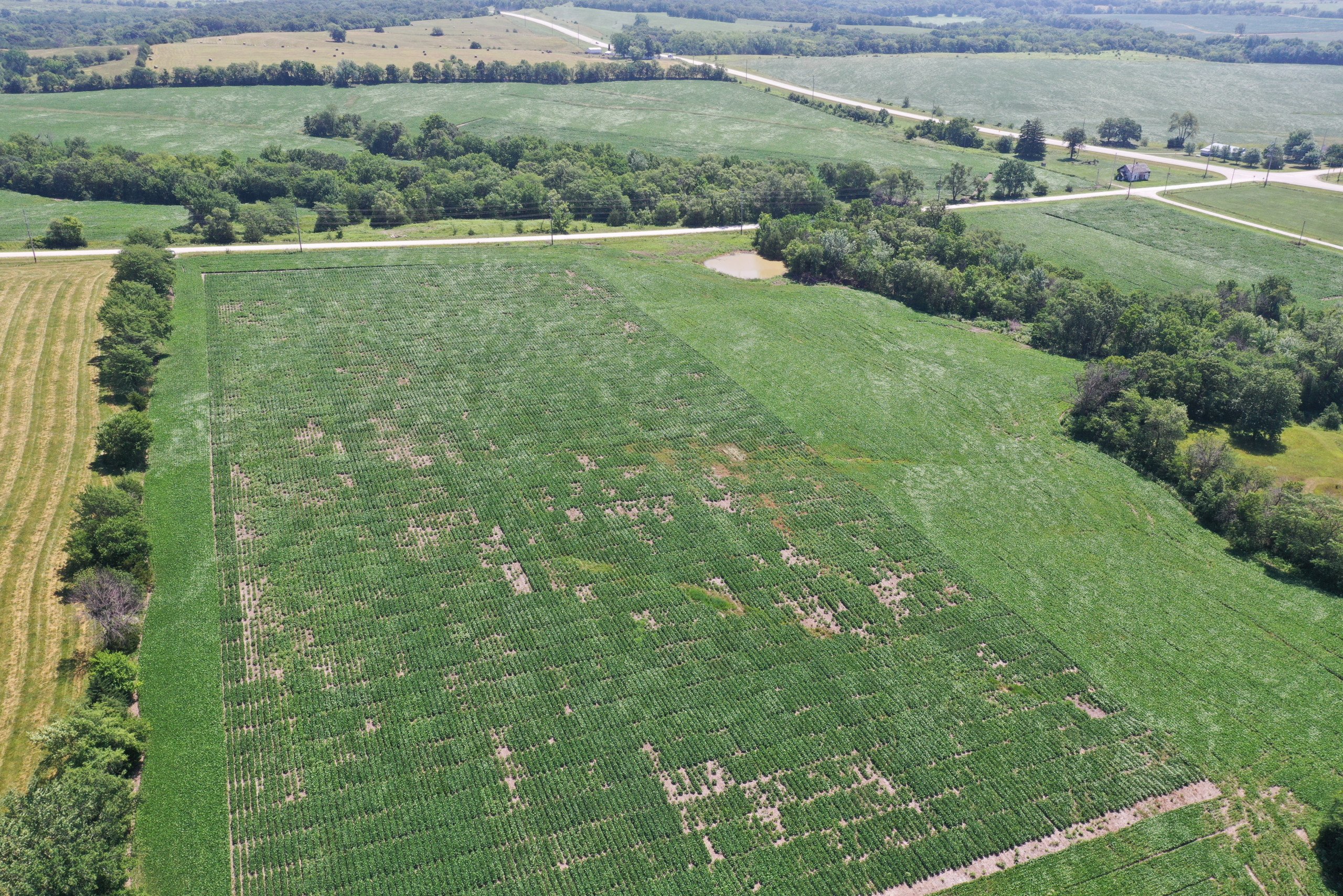 land-decatur-county-iowa-21-acres-listing-number-16328-DJI_0139-3.jpg