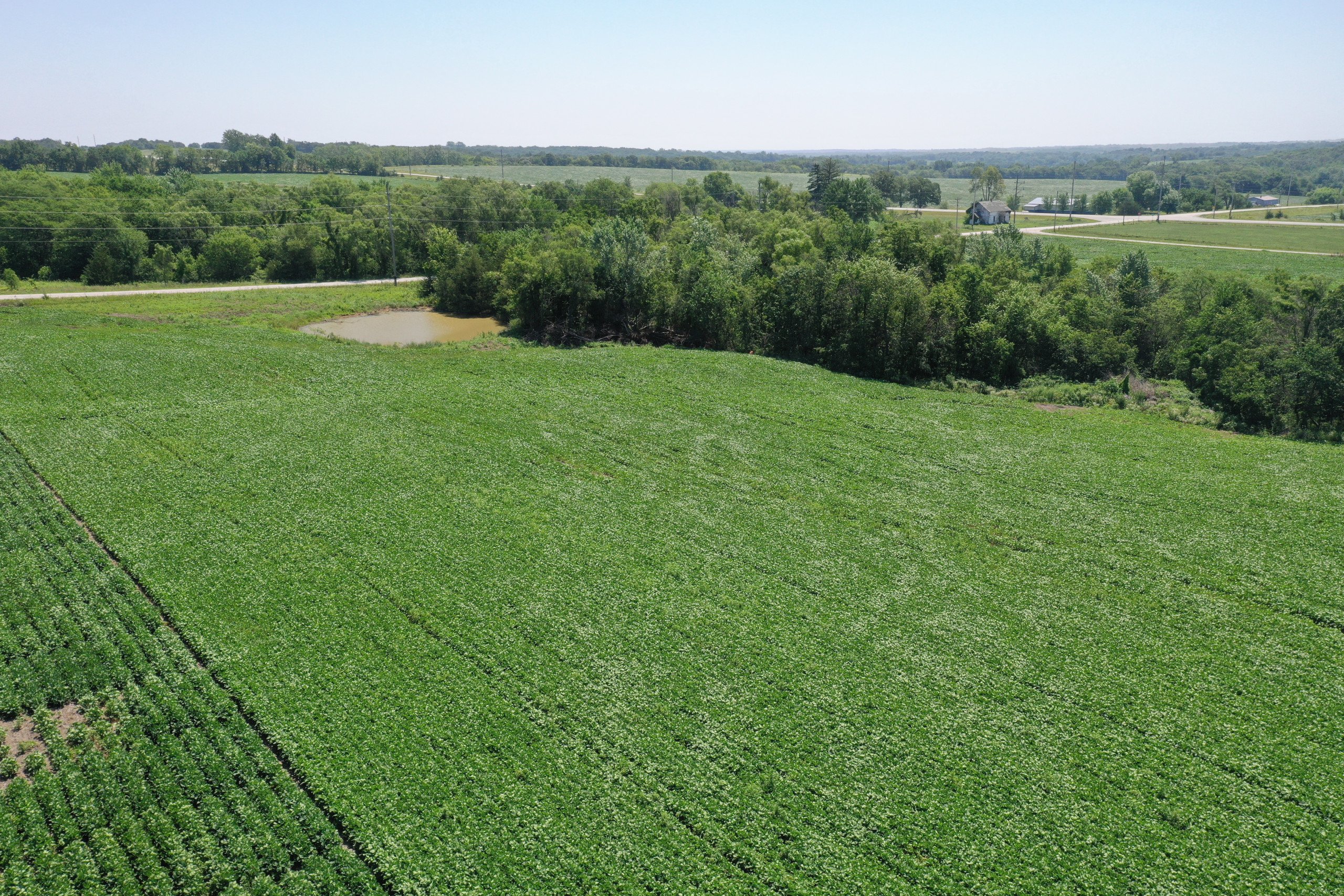 land-decatur-county-iowa-21-acres-listing-number-16328-DJI_0149-3.jpg
