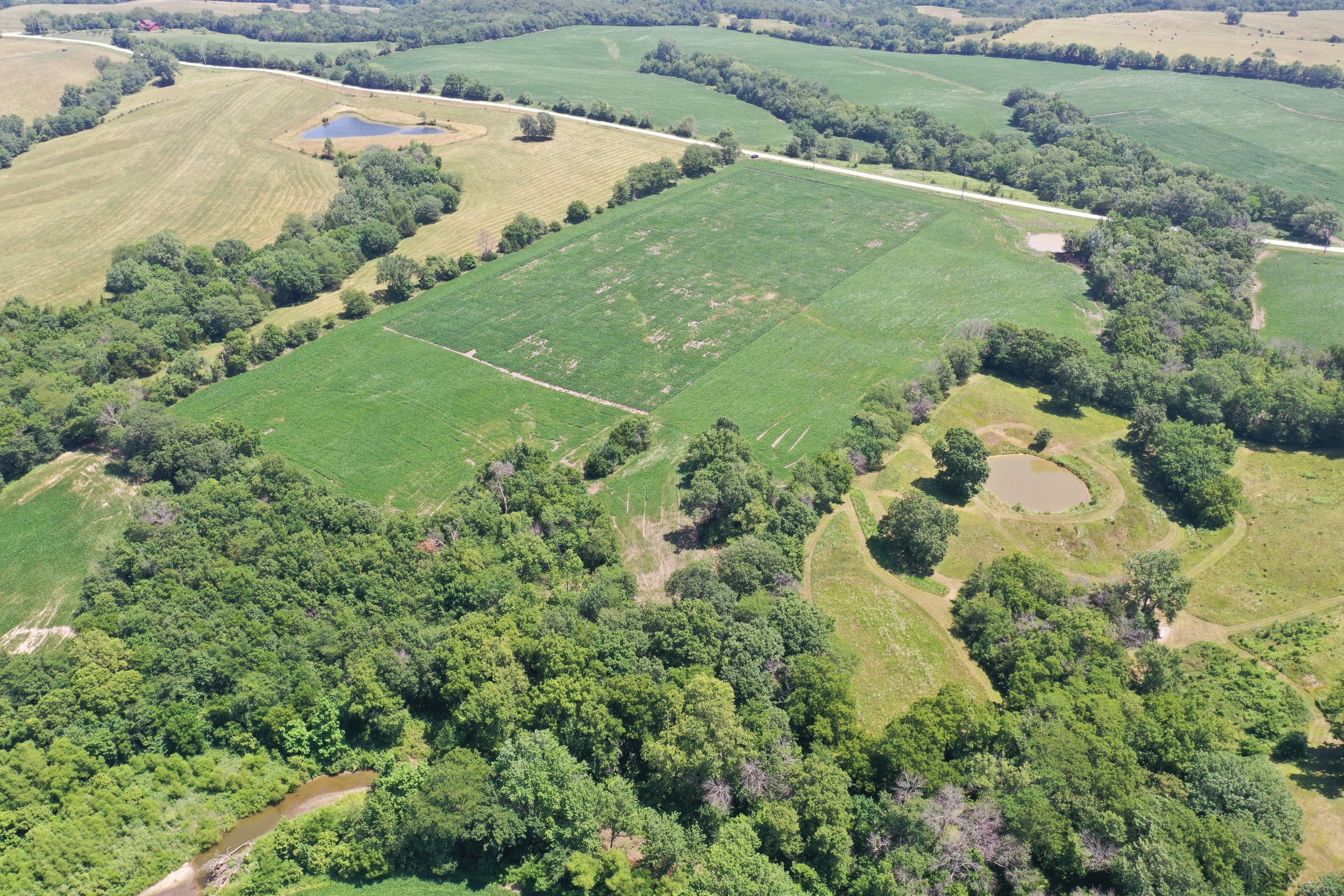 land-decatur-county-iowa-21-acres-listing-number-16328-DJI_0199 (1)-1.jpg