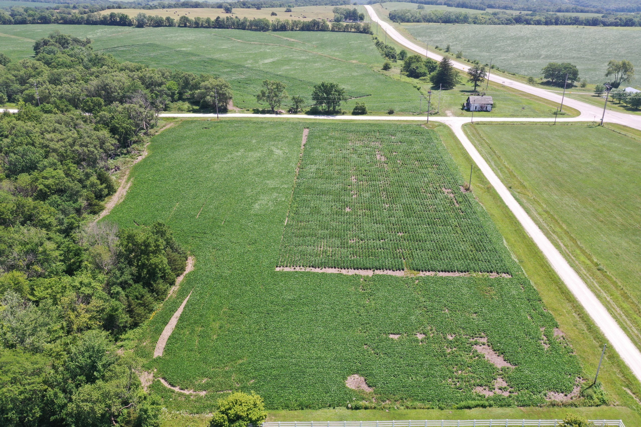 land-decatur-county-iowa-8-acres-listing-number-16329-DJI_0170-1.jpg