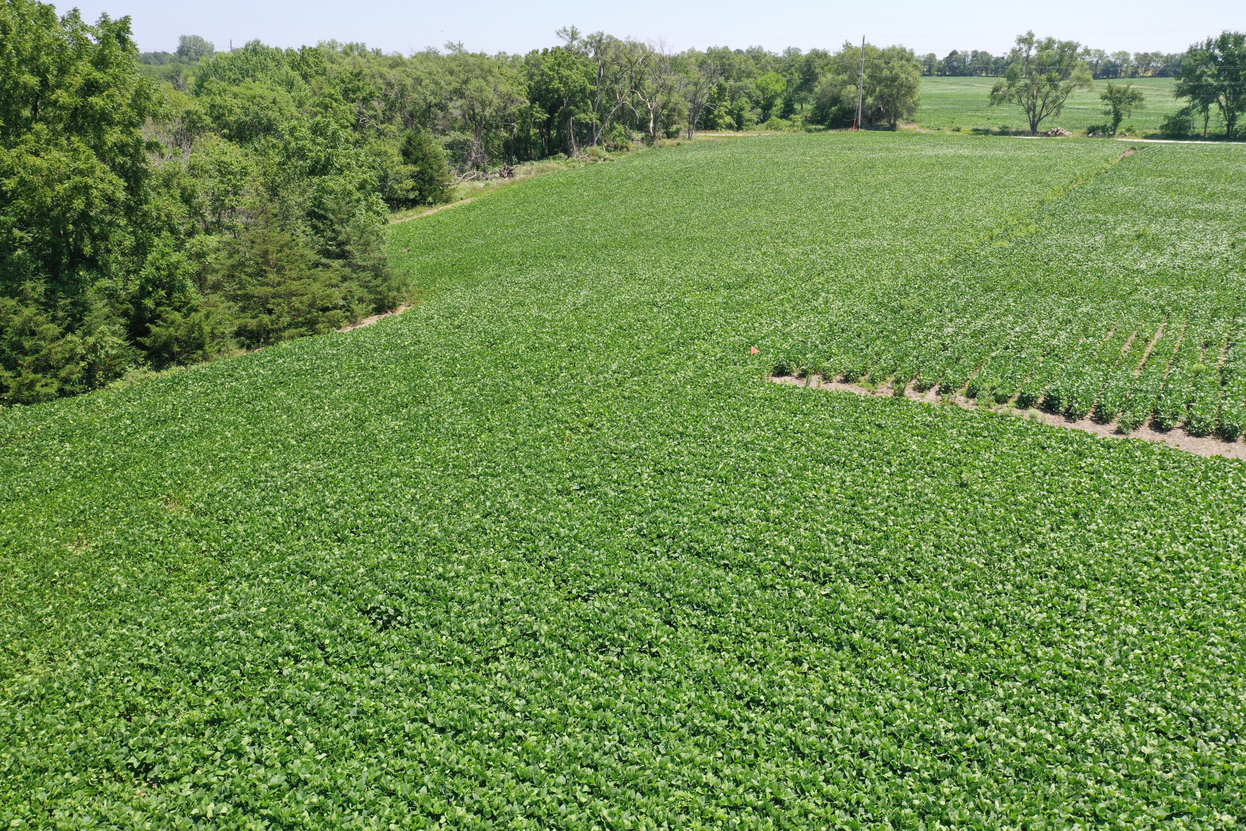 land-decatur-county-iowa-8-acres-listing-number-16329-DJI_0173-0.jpg