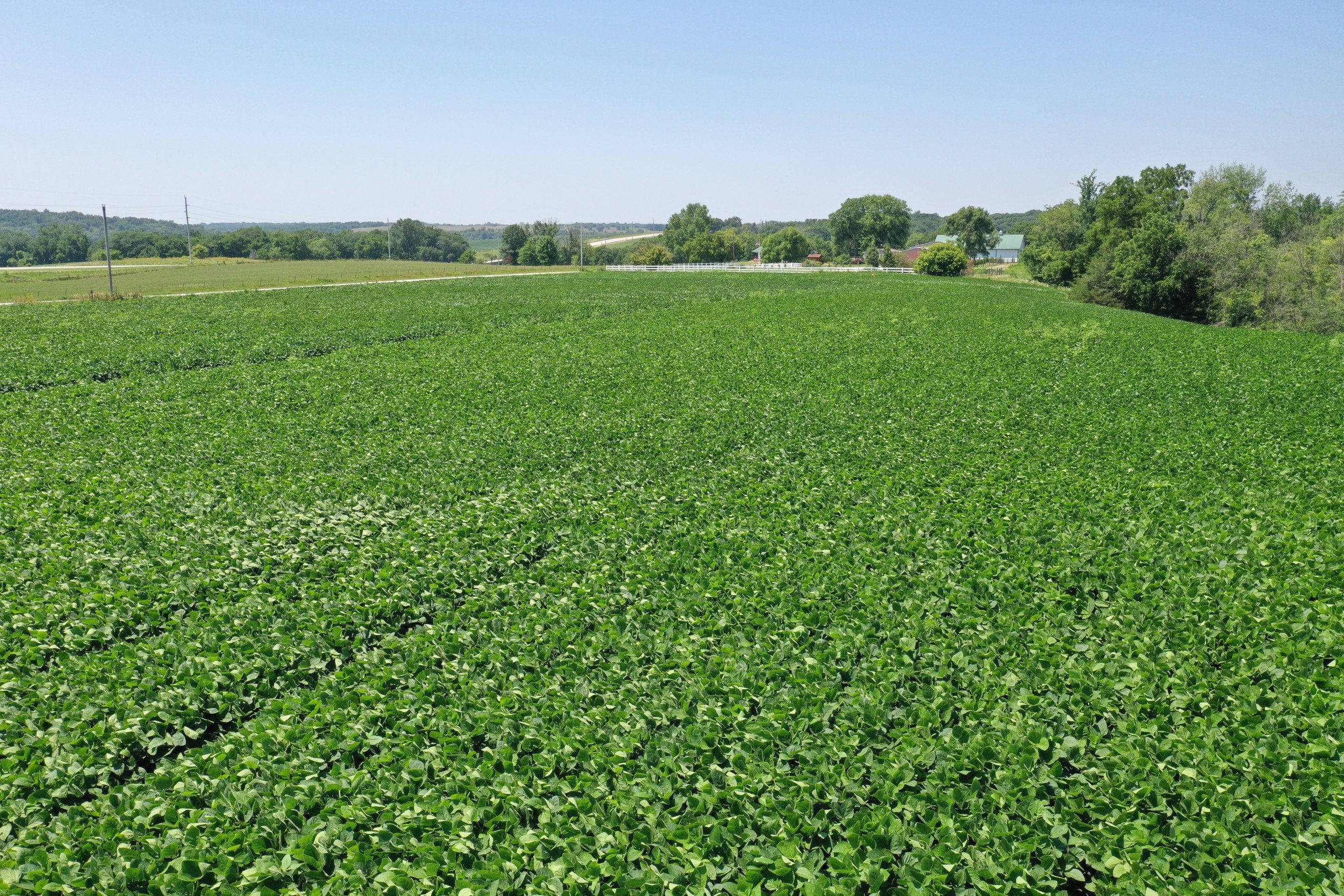 land-decatur-county-iowa-8-acres-listing-number-16329-DJI_0184-4.jpg
