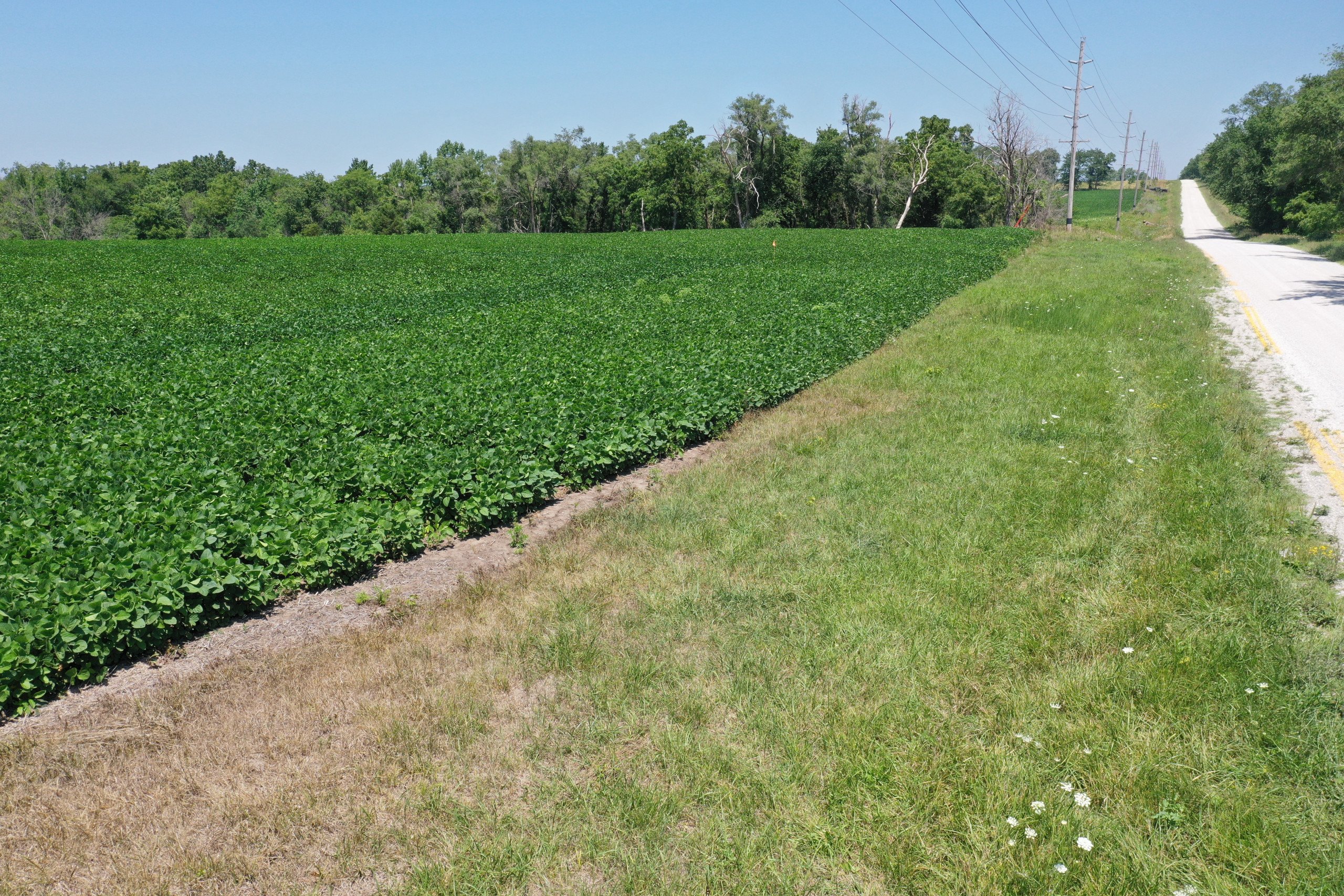 land-decatur-county-iowa-8-acres-listing-number-16329-DJI_0191-2.jpg