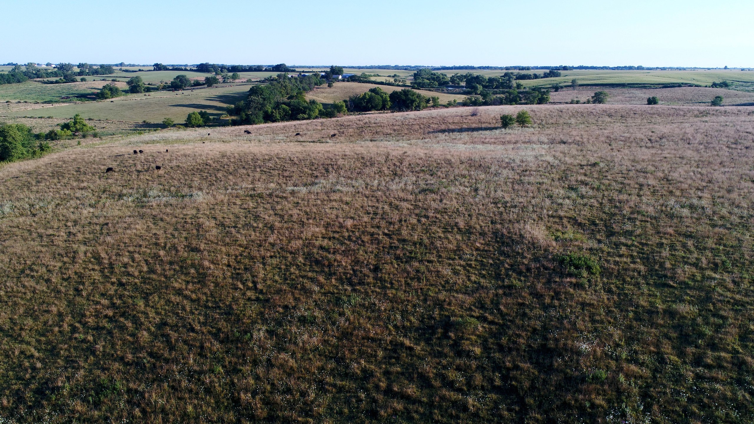 land-lucas-county-iowa-146-acres-listing-number-16339-DJI_0218-2.jpg