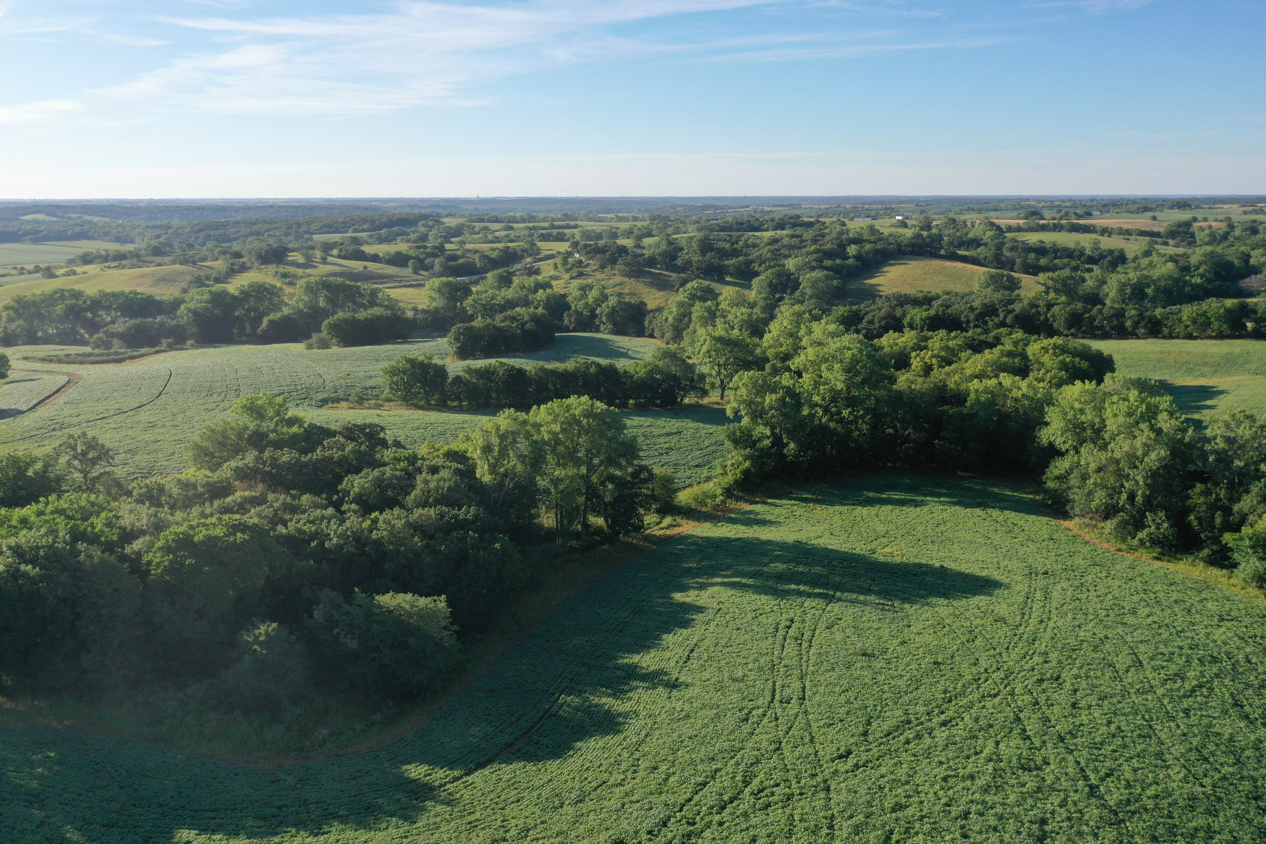 land-decatur-county-iowa-148-acres-listing-number-16340-DJI_0485-4.jpg