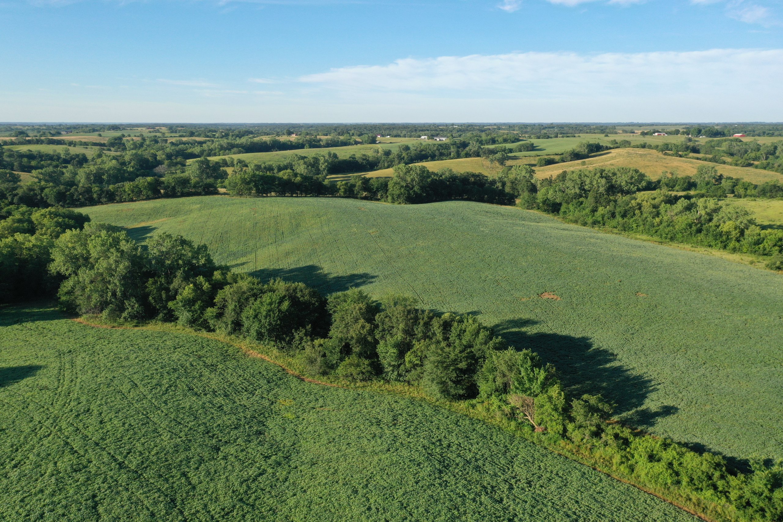 land-decatur-county-iowa-148-acres-listing-number-16340-DJI_0486-0.jpg