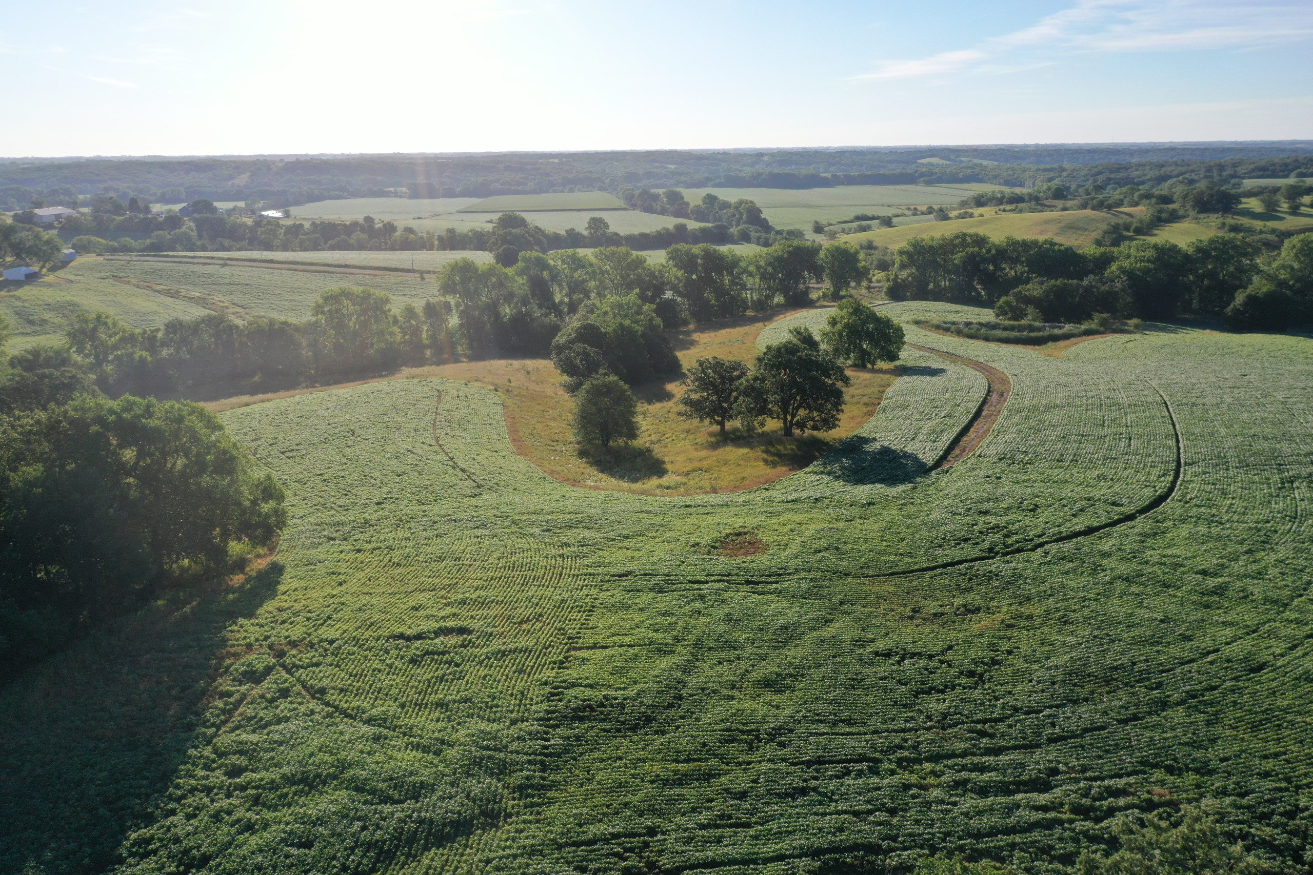 land-decatur-county-iowa-148-acres-listing-number-16340-DJI_0488-2.jpg