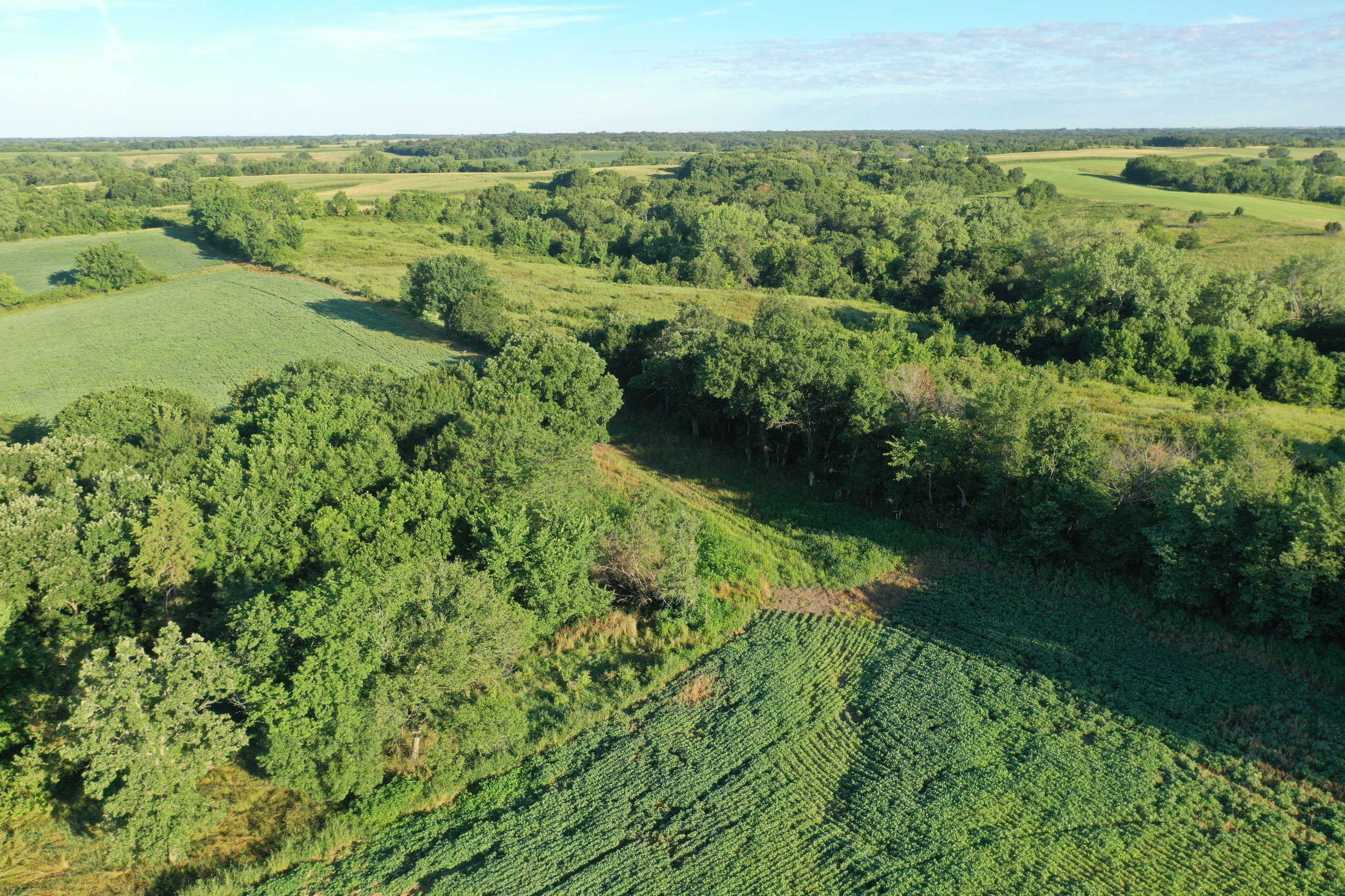 land-decatur-county-iowa-148-acres-listing-number-16340-DJI_0489-3.jpg