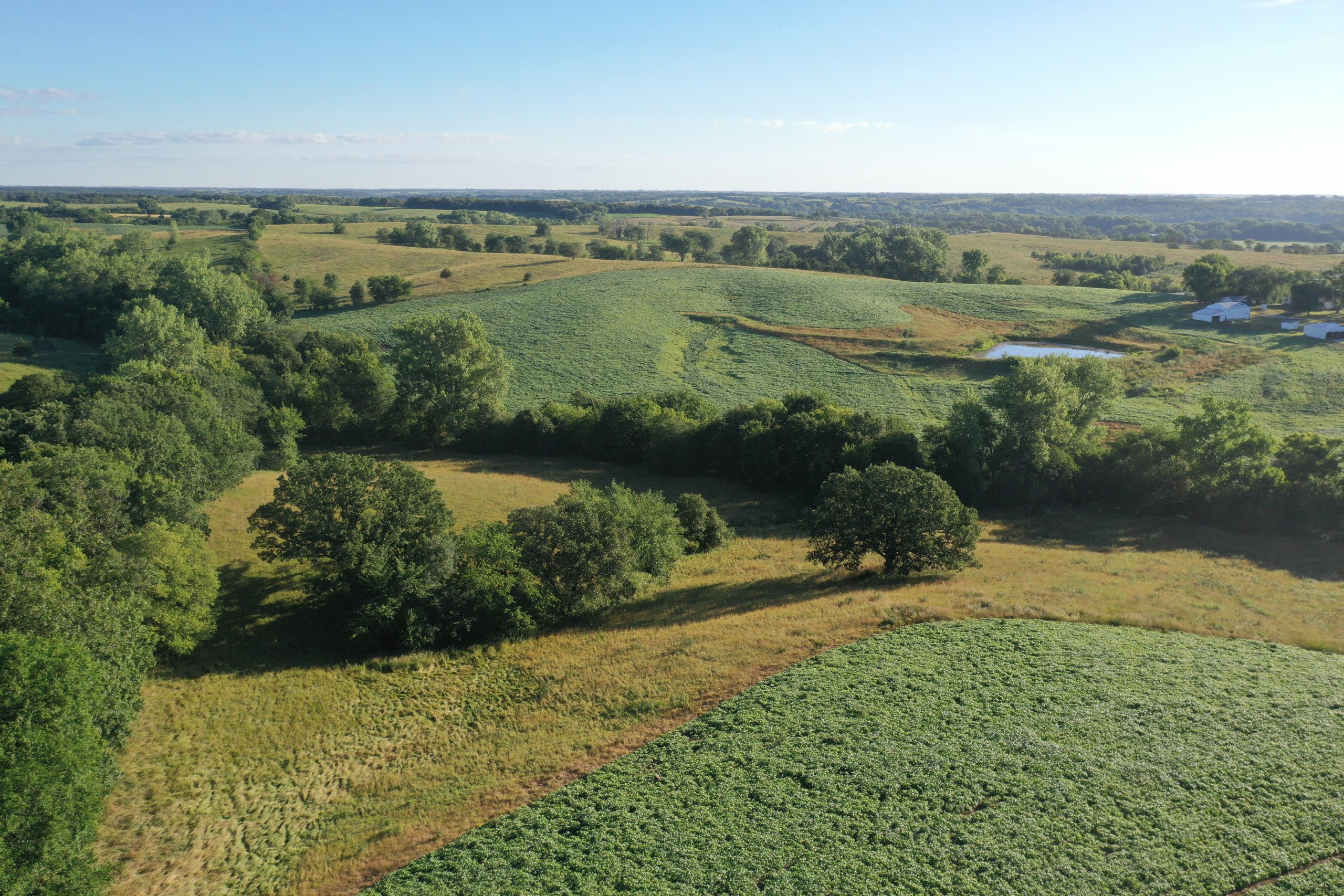 land-decatur-county-iowa-148-acres-listing-number-16340-DJI_0490-4.jpg