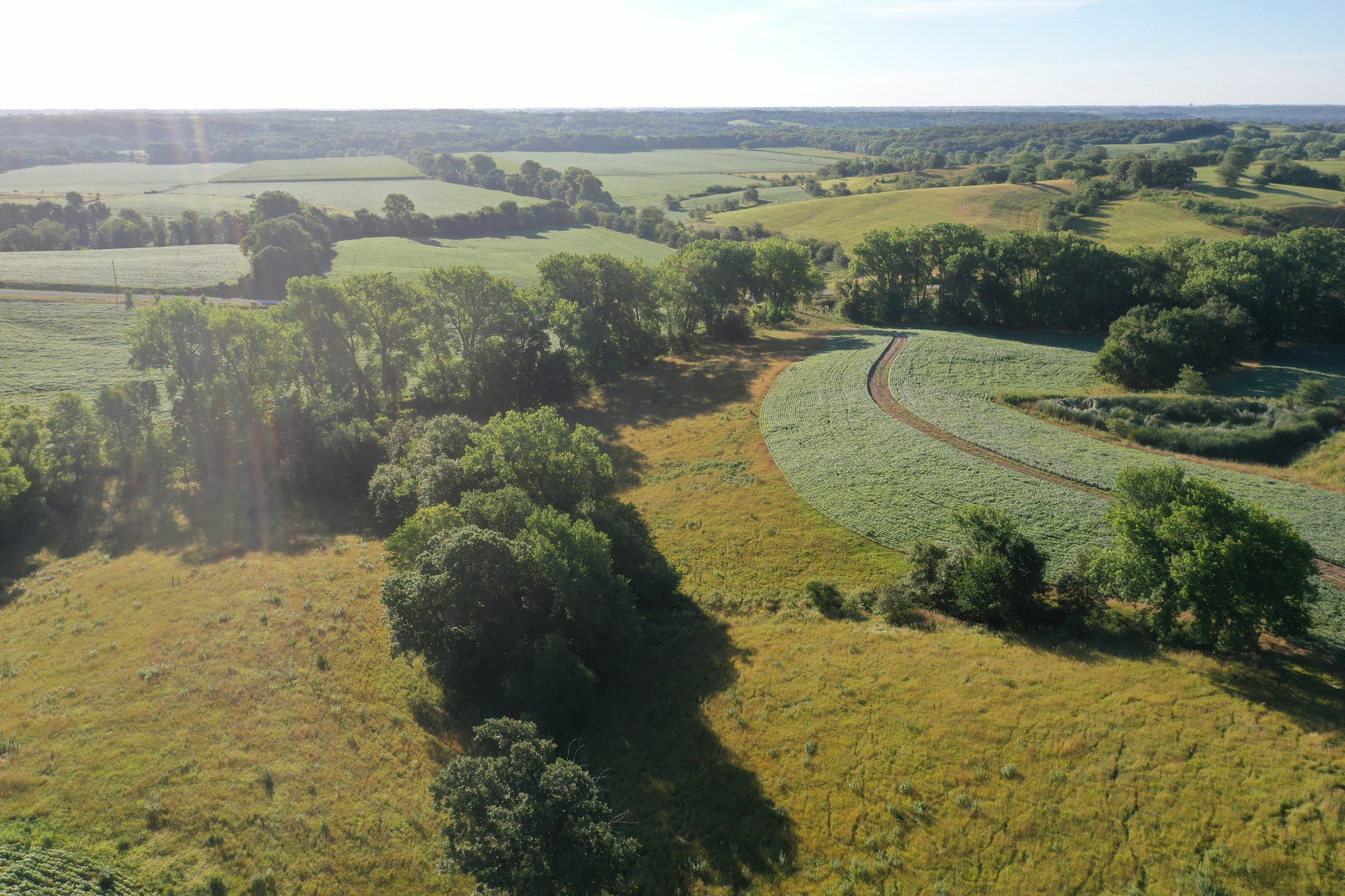 land-decatur-county-iowa-148-acres-listing-number-16340-DJI_0492-6.jpg