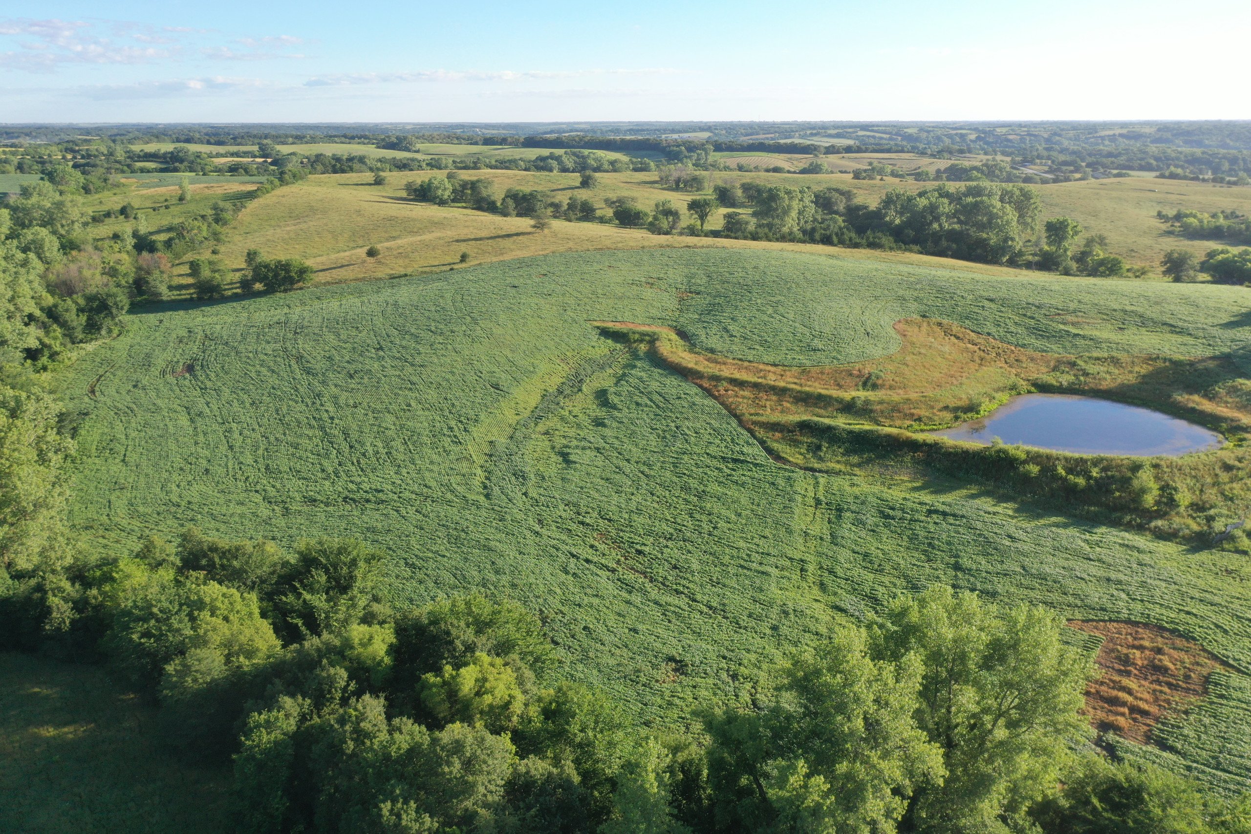land-decatur-county-iowa-148-acres-listing-number-16340-DJI_0493-0.jpg