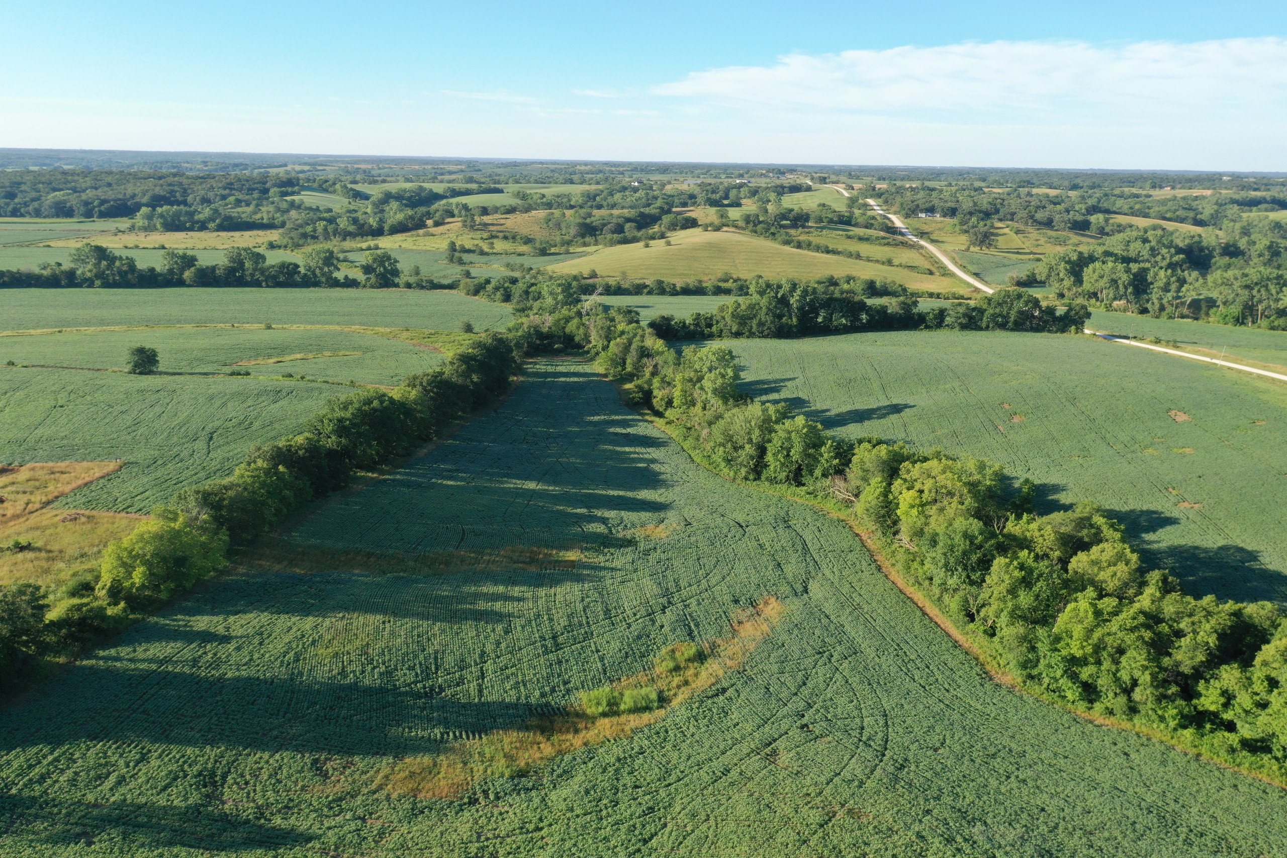 land-decatur-county-iowa-148-acres-listing-number-16340-DJI_0519-2.jpg